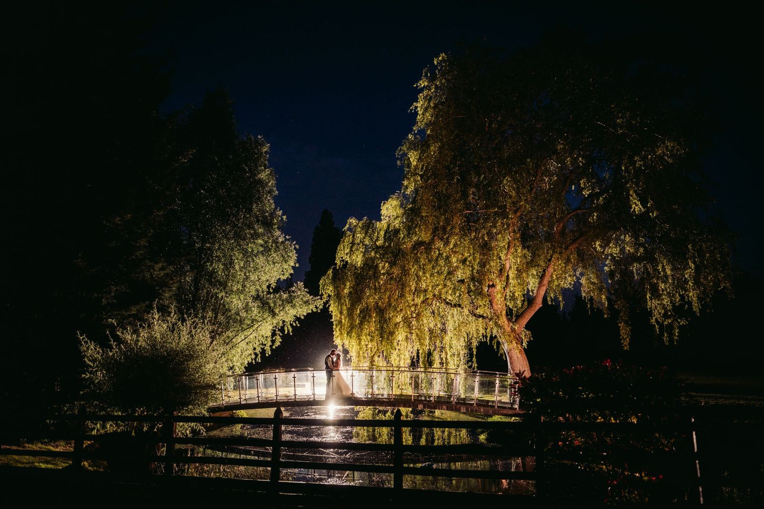 Illuminated weeping willow tree glows at night behind wooden fence with dramatic lighting creating magical atmosphere.