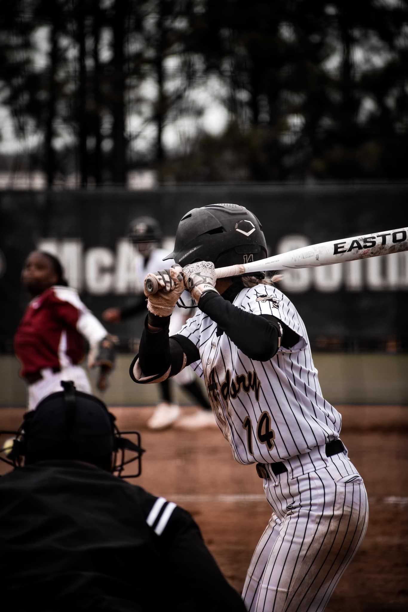 Softball player in pinstripe uniform batting at home plate during a competitive game.