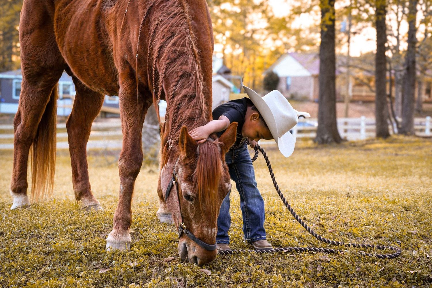 A cowboy in a white hat tenderly nuzzles a chestnut horse grazing on grass at a rustic ranch.
