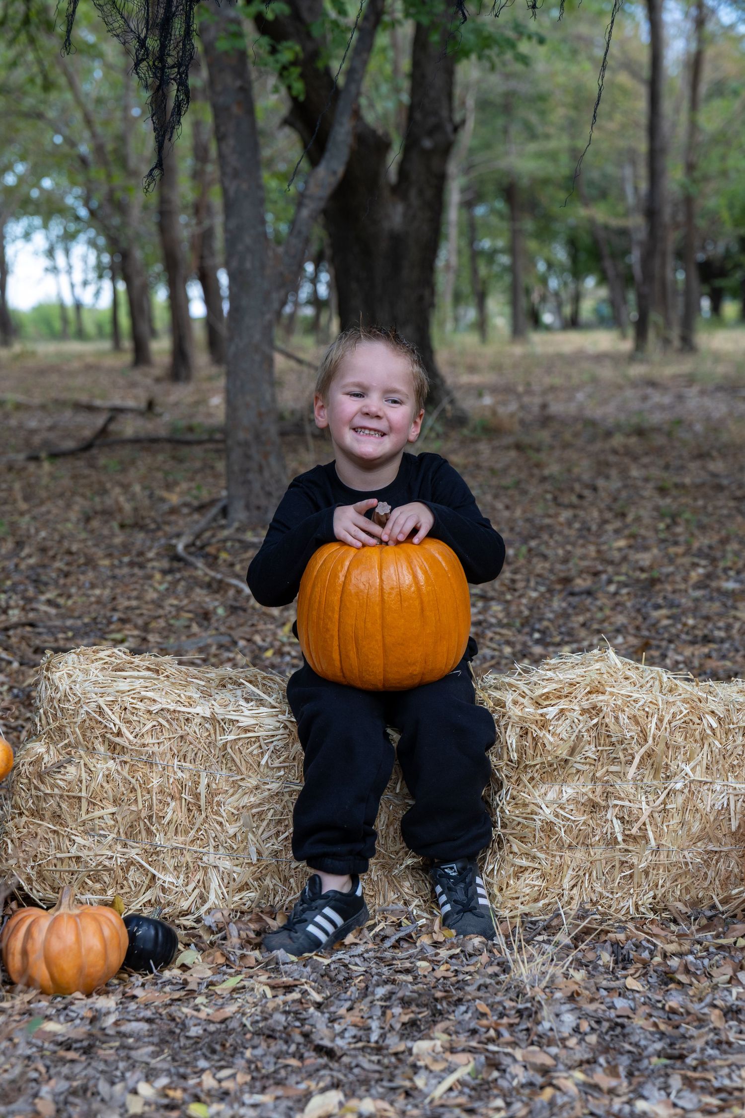 Smiling child in black outfit sitting on hay bale holding orange pumpkin in autumn forest setting.