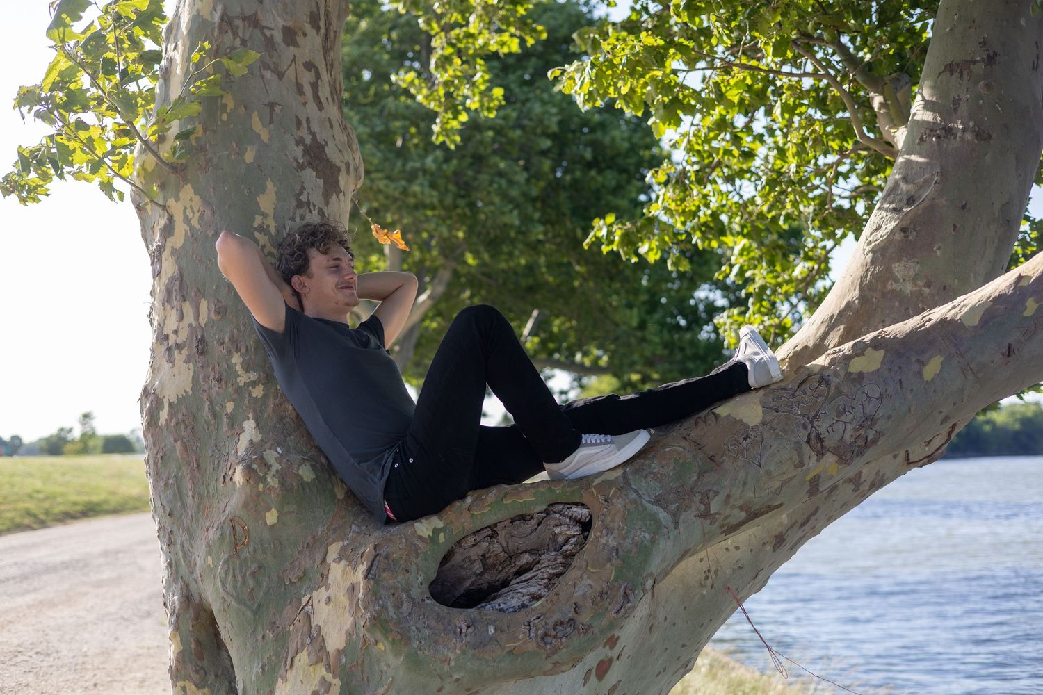 Man in black outfit relaxing in the fork of a large tree by a river on a sunny day.