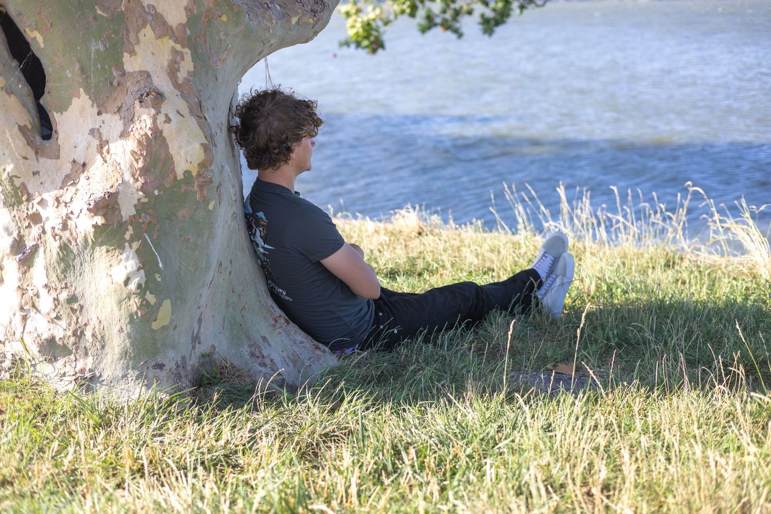 Person sitting against a tree trunk by a lake shore, relaxing in green grass on a sunny day.