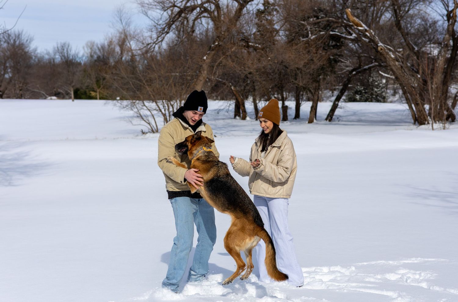 A German Shepherd plays and runs through deep snow with someone in winter clothing during a snowy day.