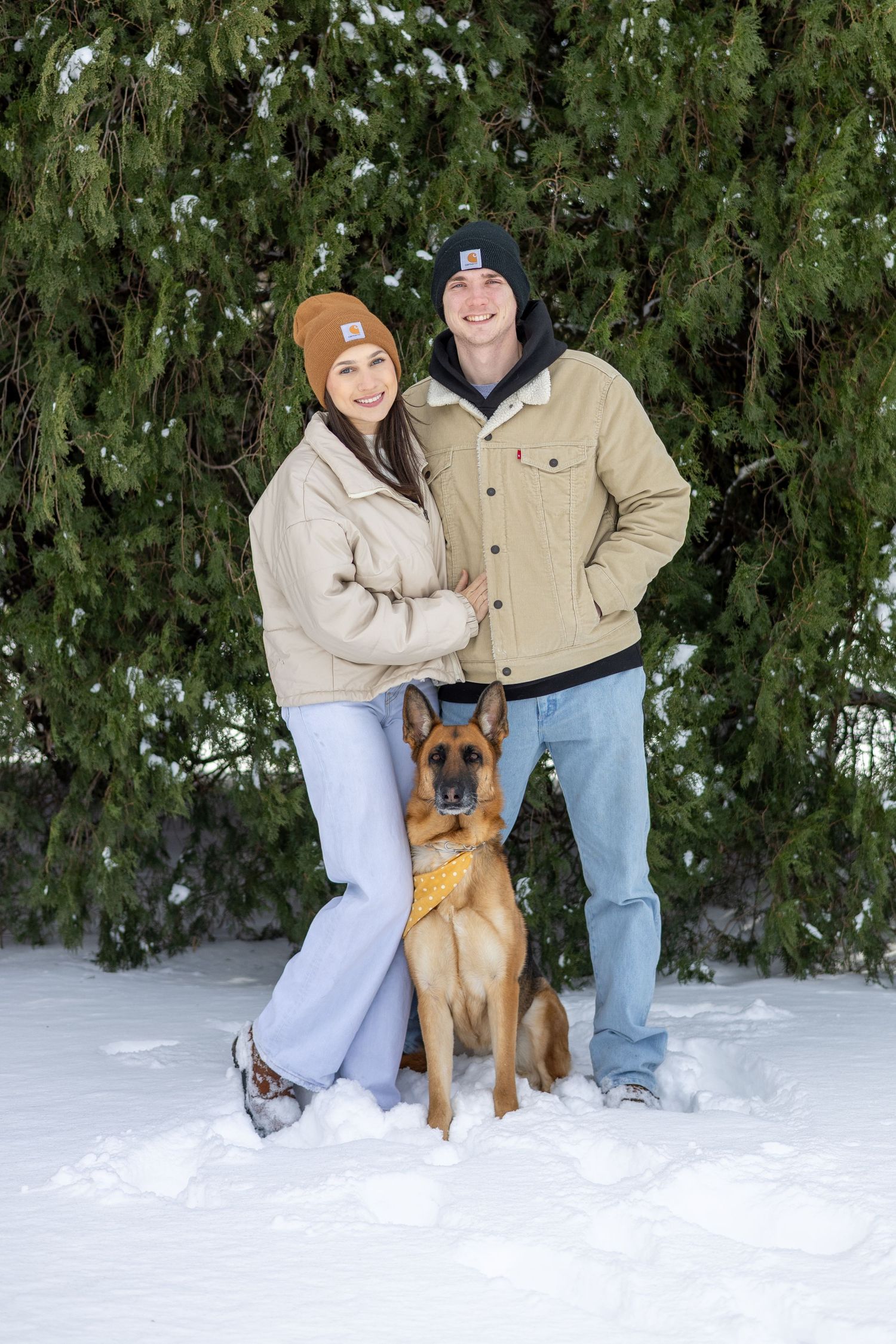 A couple poses with their Belgian Malinois dog in front of snow-covered evergreen trees during winter.