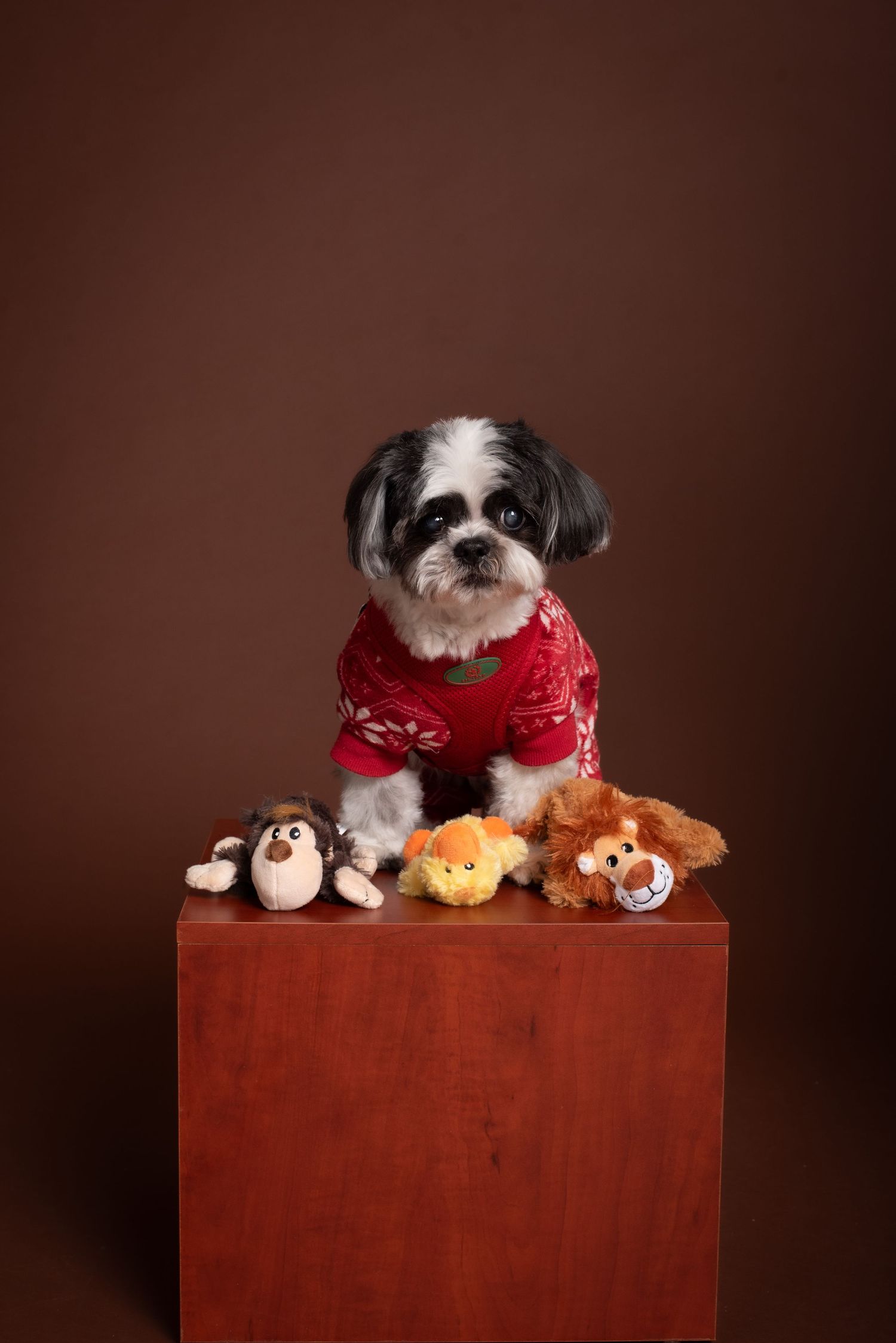 Shih Tzu dog wearing a red holiday sweater sitting on a wooden box surrounded by small stuffed animal toys.