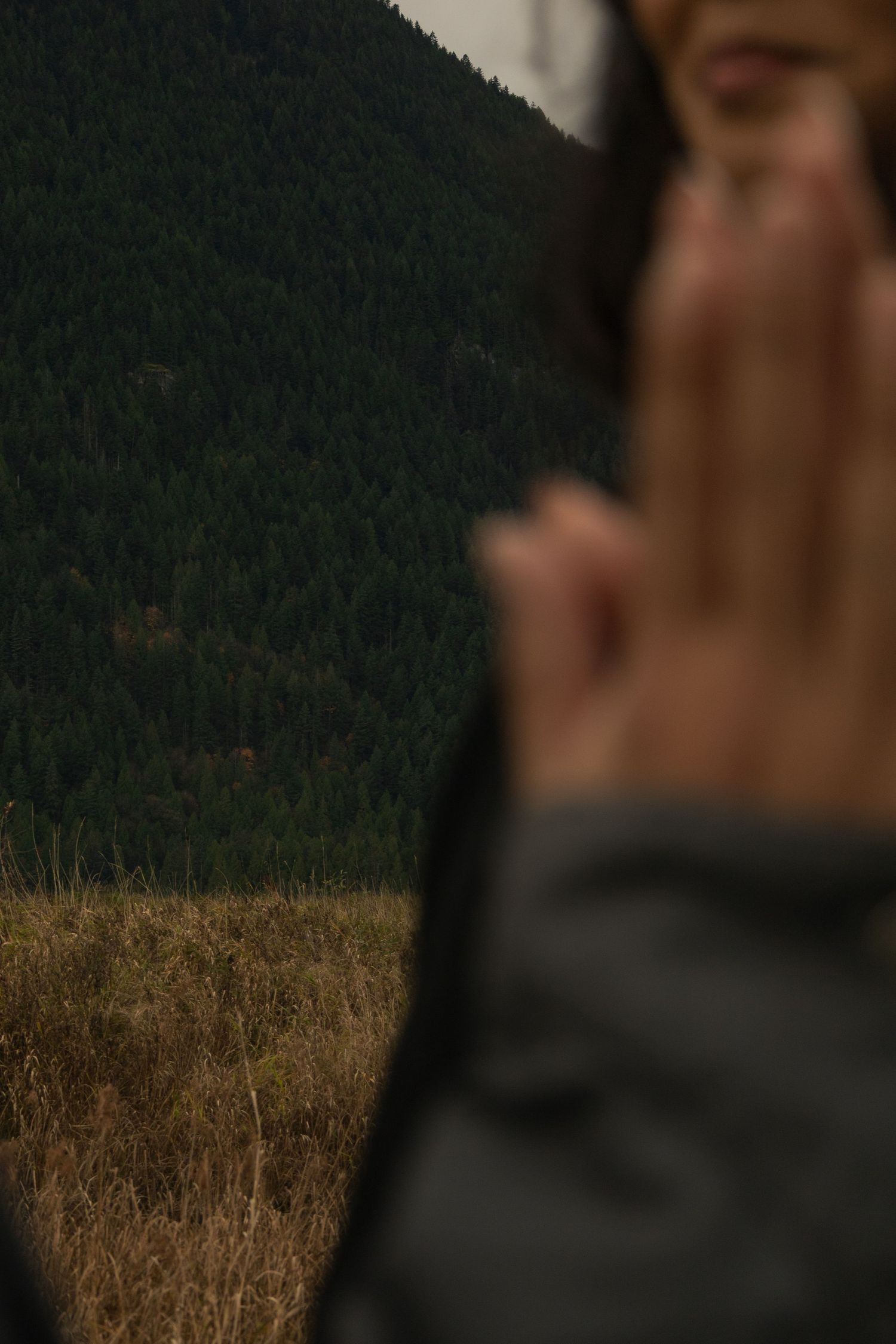 BC engagement photographer, couple's hands pressed together, intentional grain, film inspired, background in focus