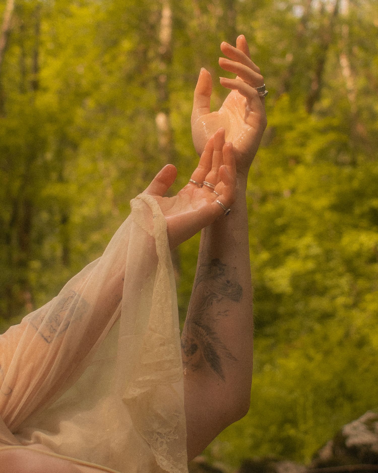 Women's hands together against a background of trees, soft, grainy, warm photography style