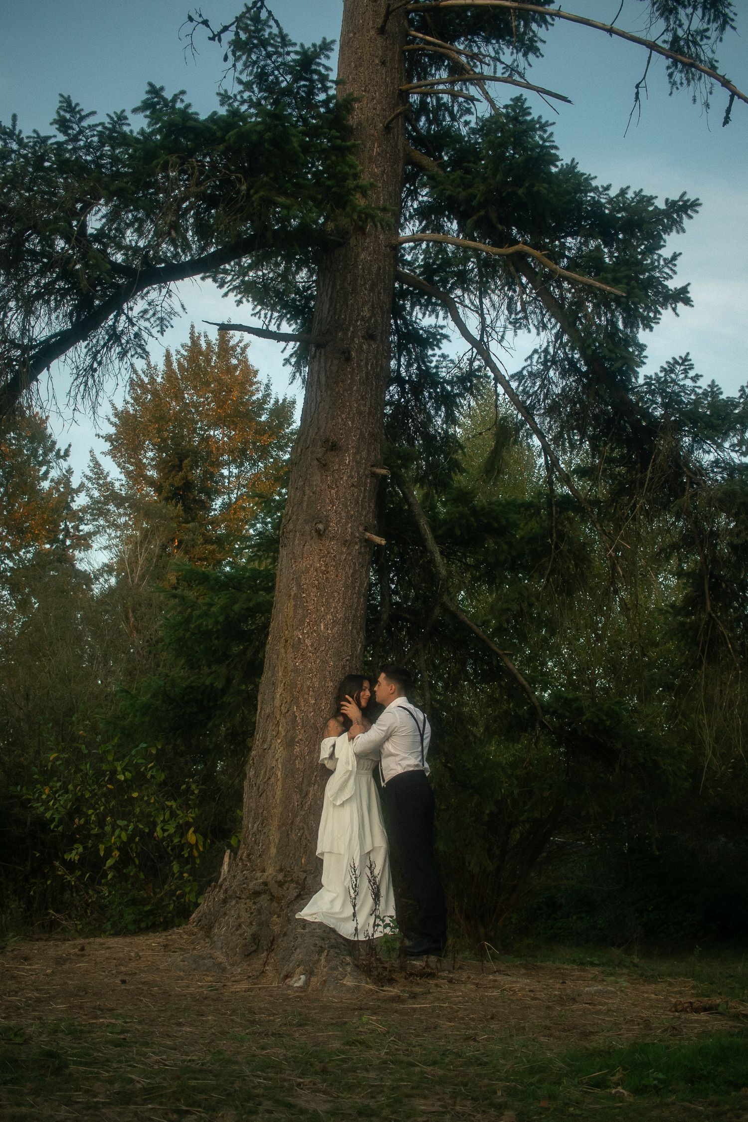 Engagement session, couple leaning against a tree, wide shot