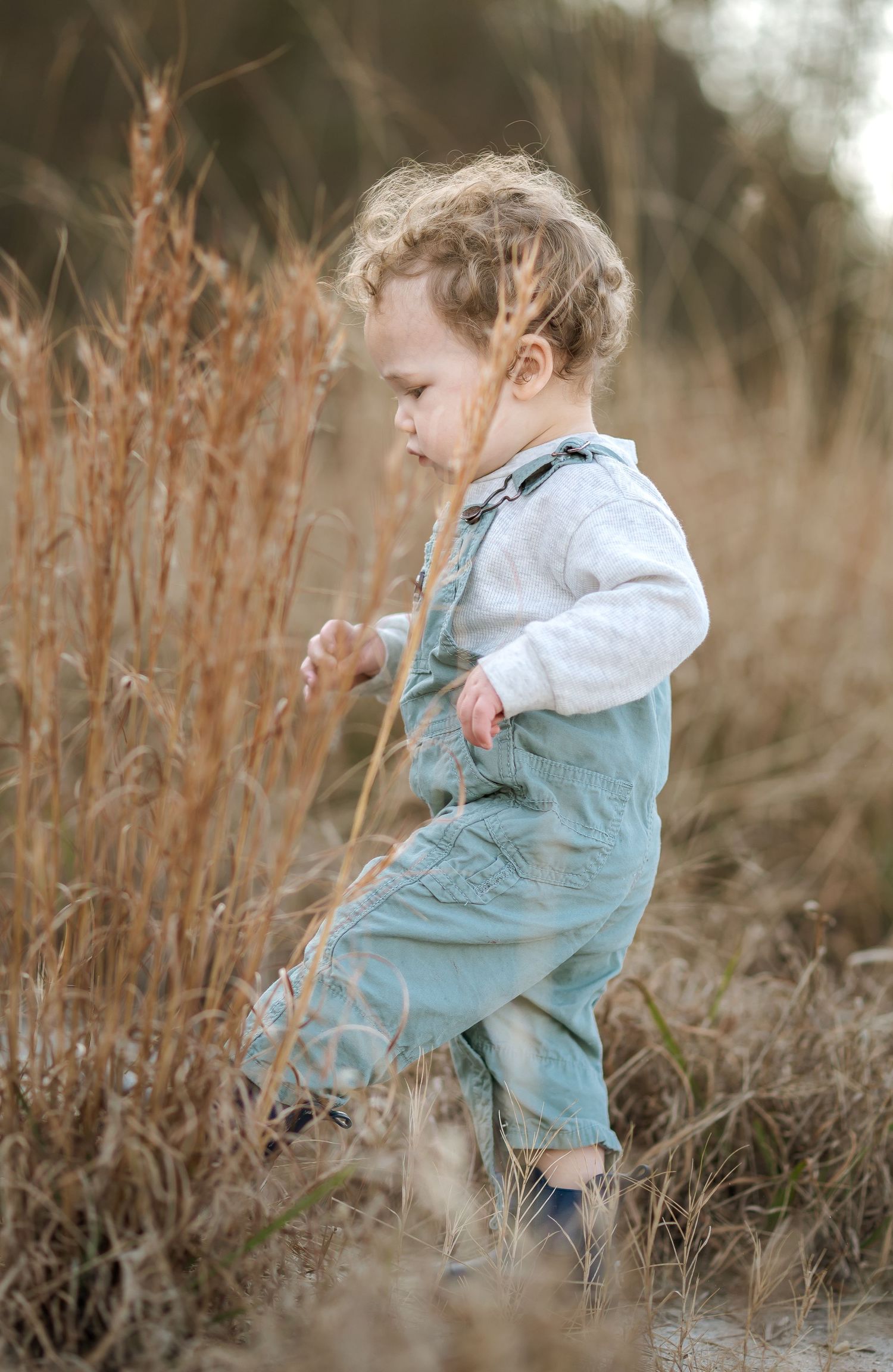 A small child wearing light blue overalls and a white shirt explores tall grass in a dreamy outdoor setting.