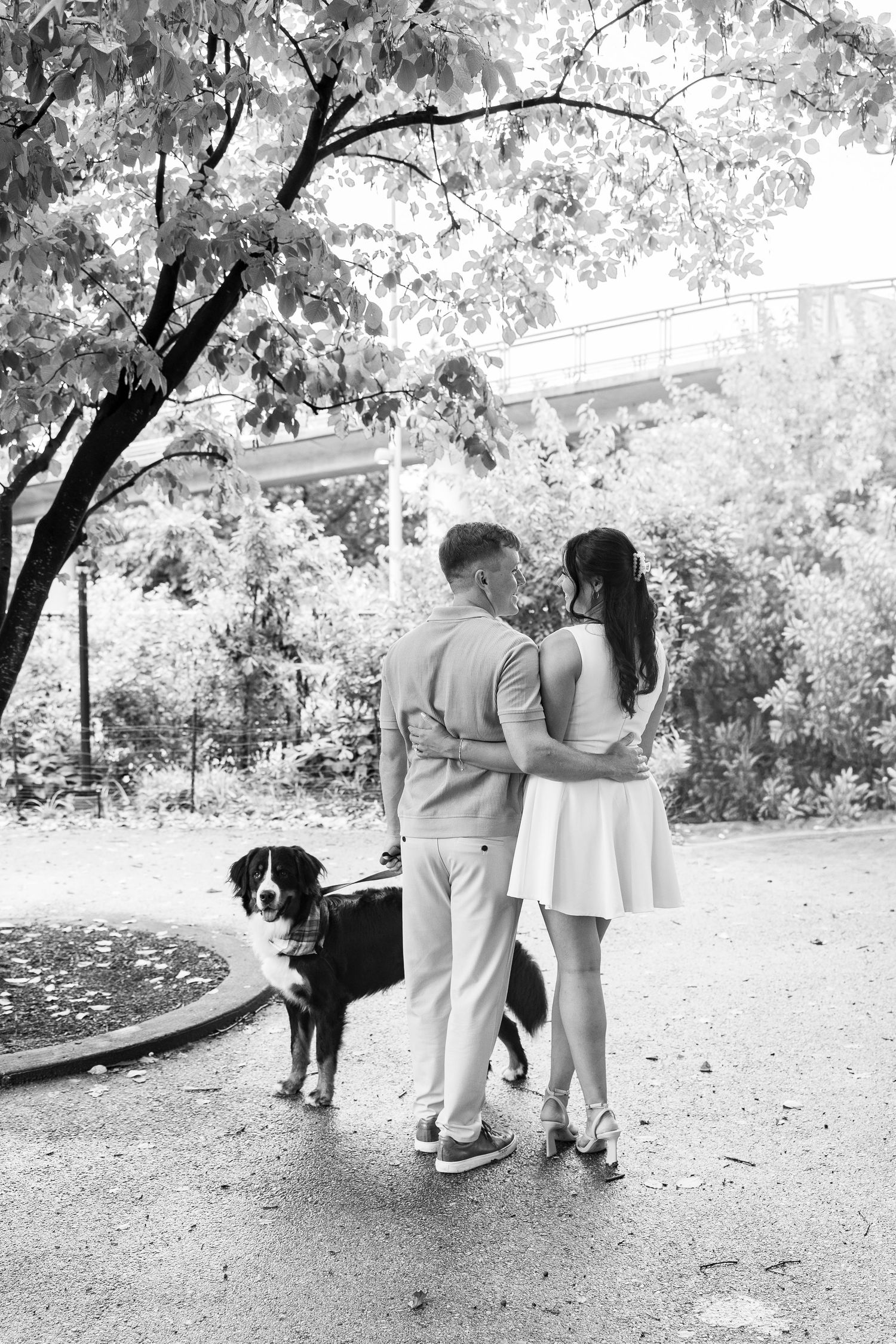 Black and white photo series of a couple walking with their dog in a park setting.