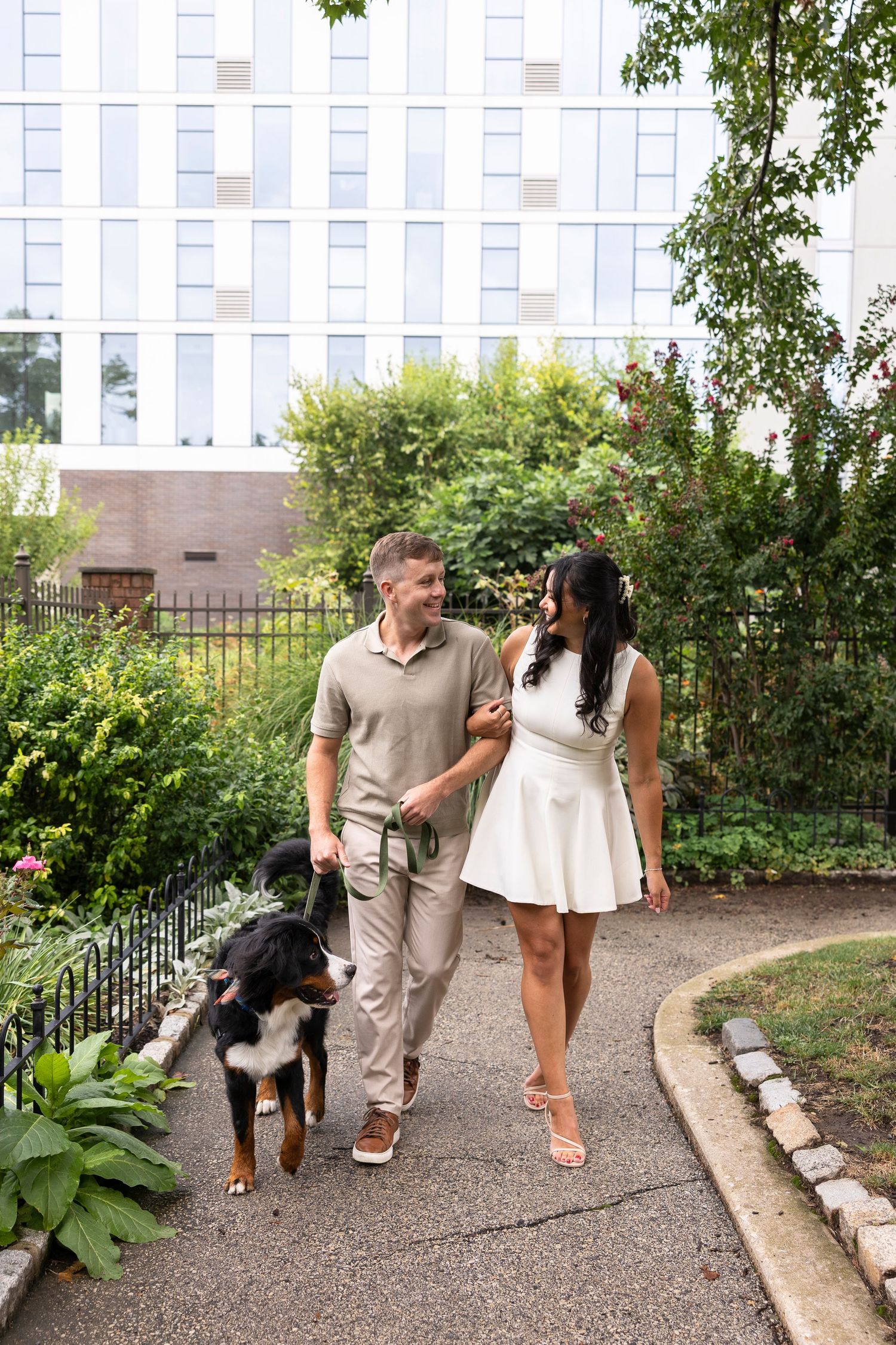 A couple walking their Bernese Mountain Dog along a garden path with white fencing.