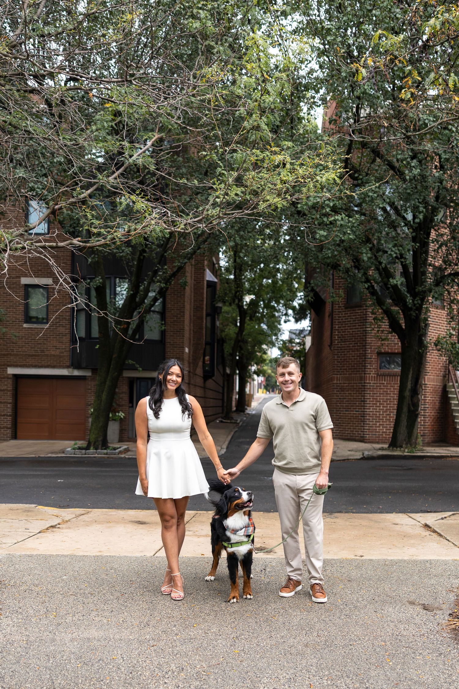 A couple walks their Bernese Mountain Dog along a tree-lined path near brick buildings.