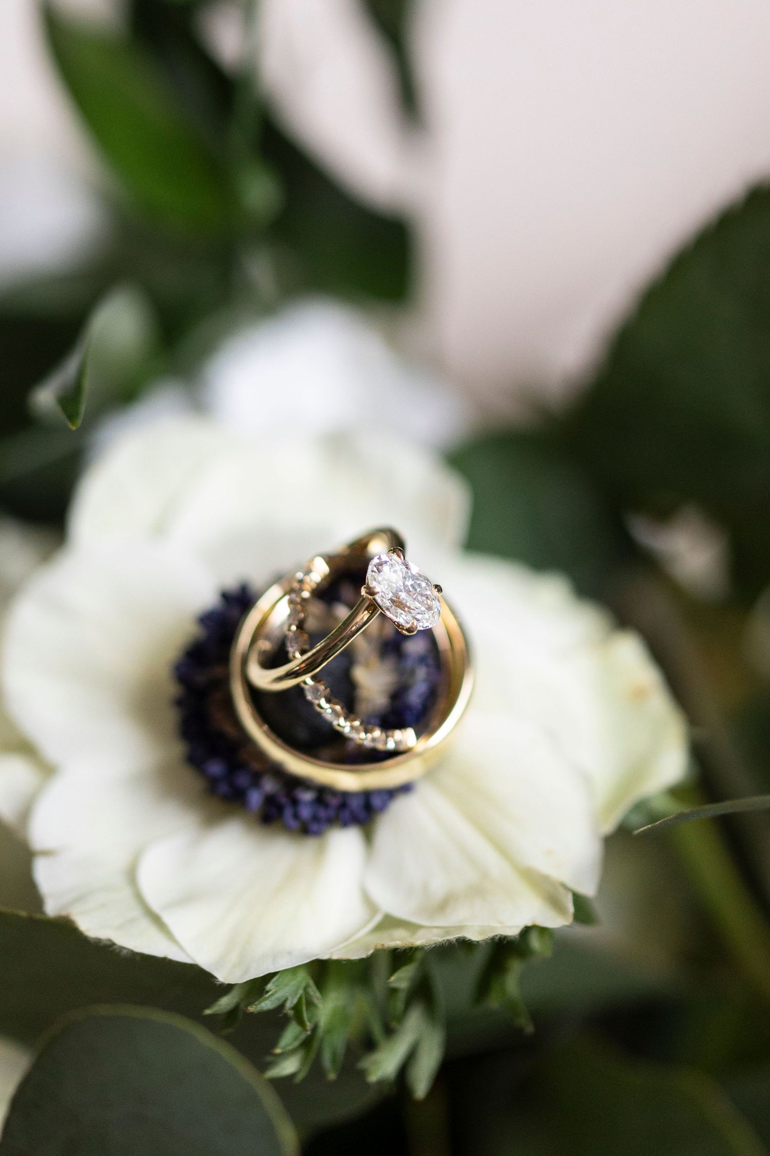 Wedding rings displayed on delicate white petals with purple accents in a detailed macro shot.