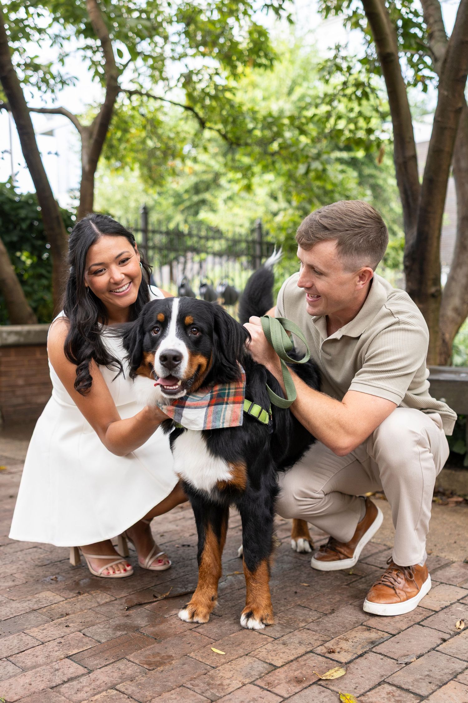A couple playing with their Bernese Mountain Dog on a brick patio surrounded by trees.