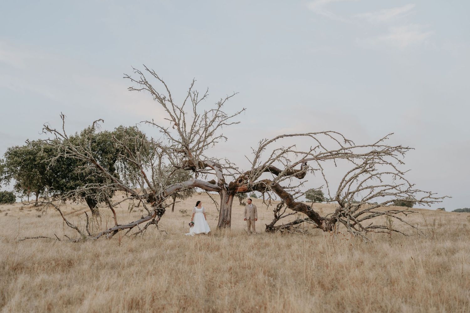 Bride and Groom in the Alentejo countryside on their wedding day in Portugal
