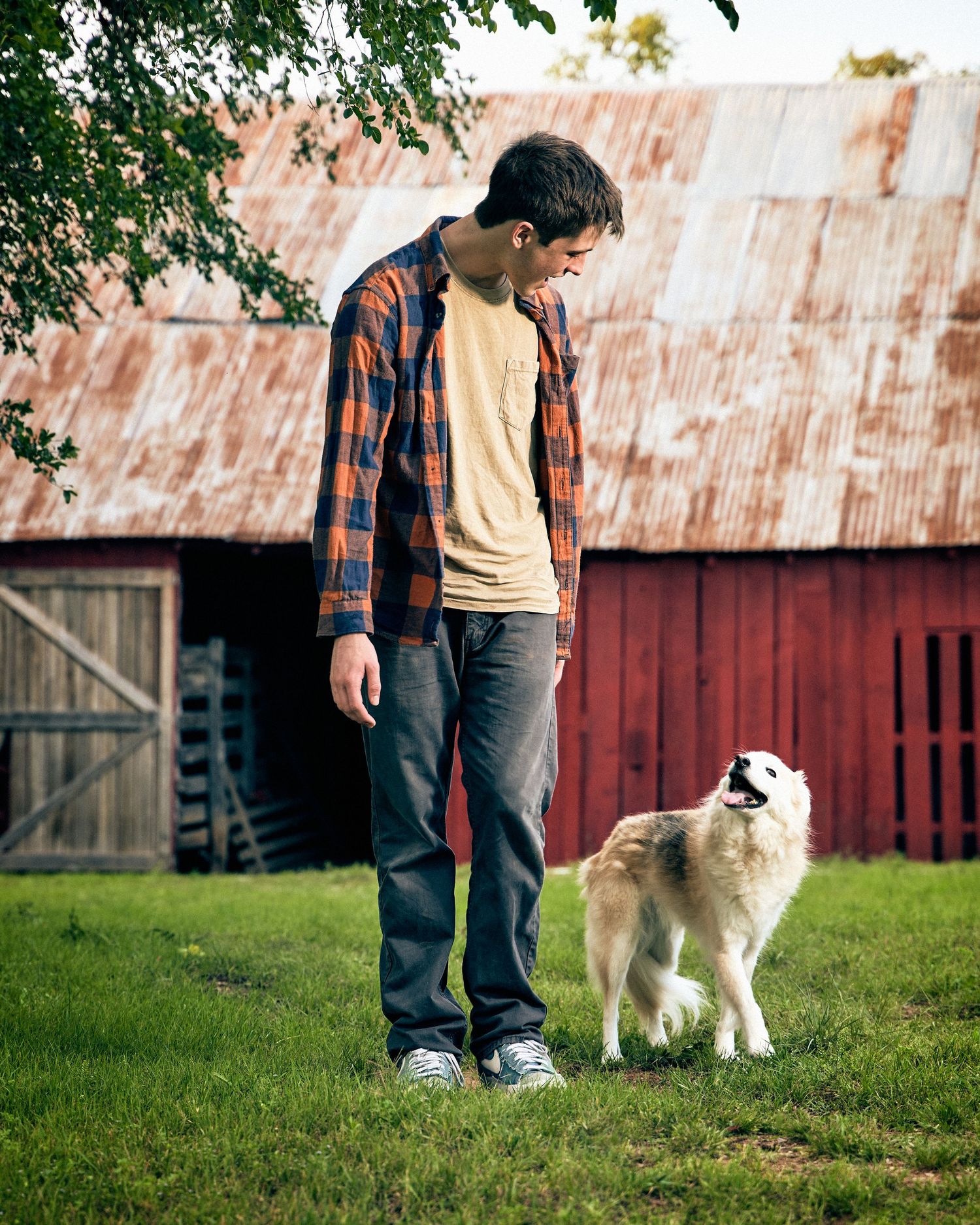 Old Settlers boy senior with dog