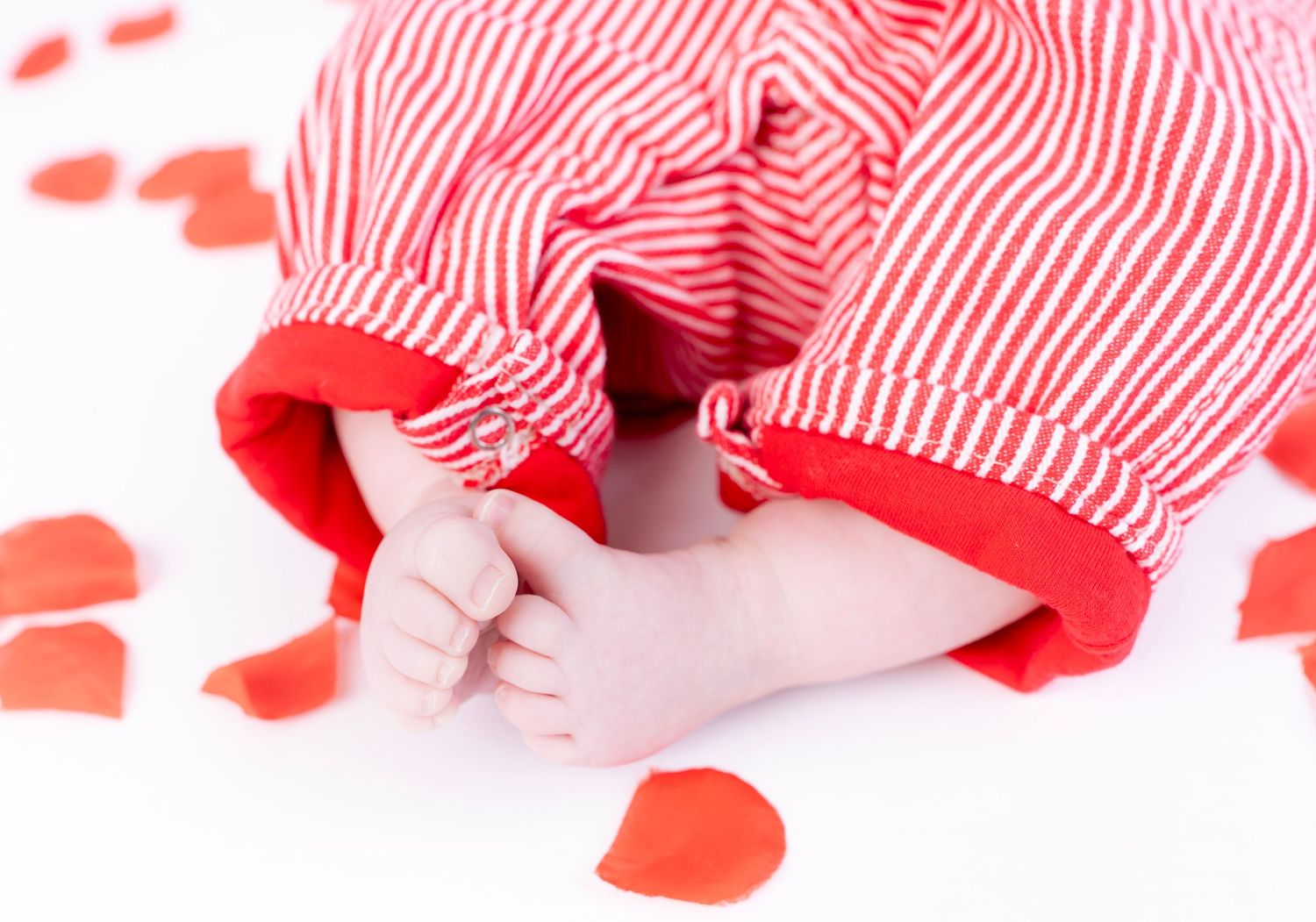 Red and white striped fabric with scattered rose petals in Valentine's themed setting.