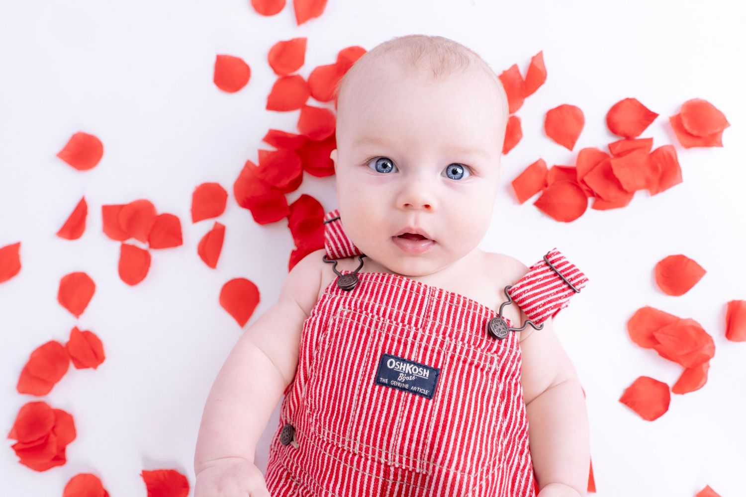Baby in red striped outfit surrounded by scattered red rose petals.