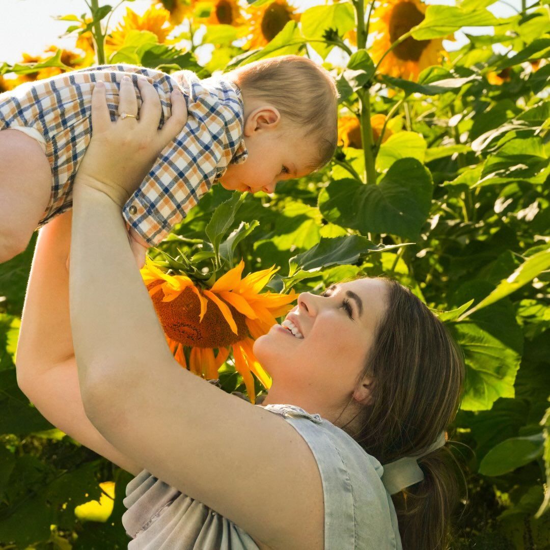 Sunflower field photoshoot with bright yellow flowers and green leaves in natural sunlight.
