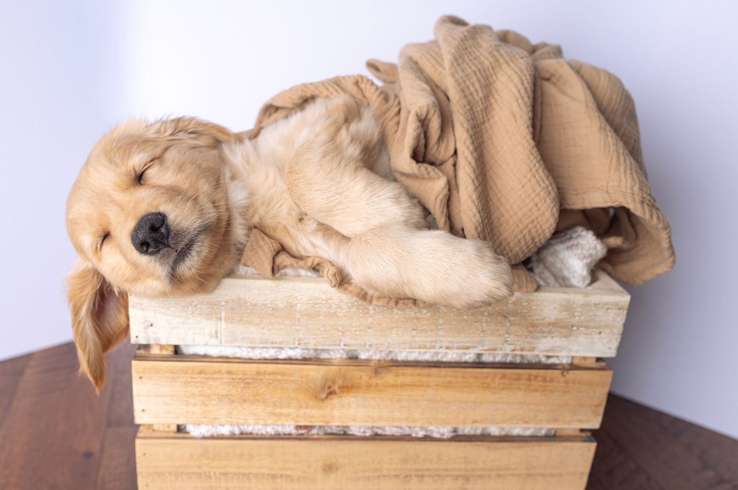 Golden retriever lounging on wooden bench with relaxed expression.