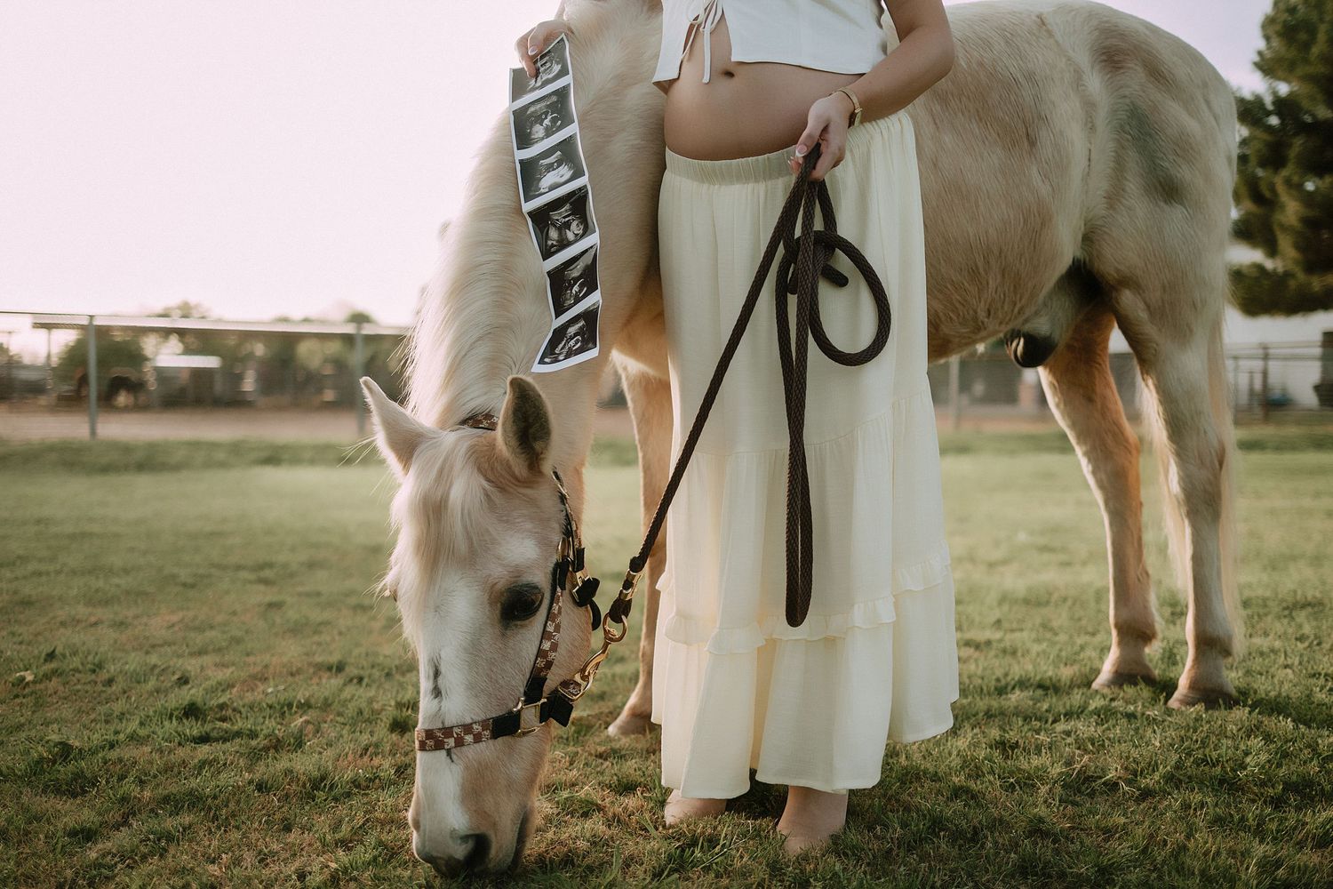 Pregnant woman holding white horse with ultrasound strip on its back.