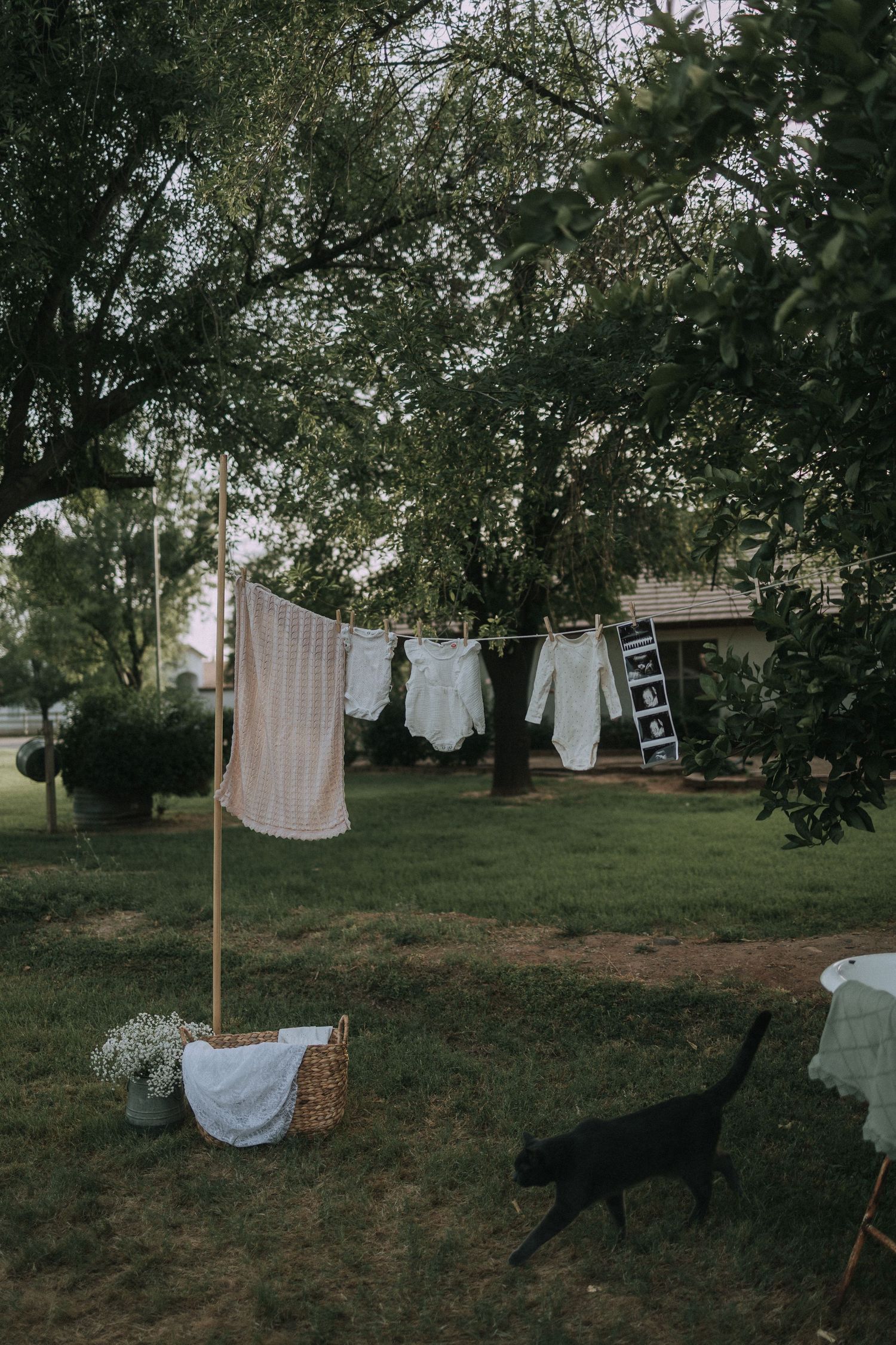 Baby clothes hanging on an outdoor clothesline in a green backyard with a black cat walking nearby.