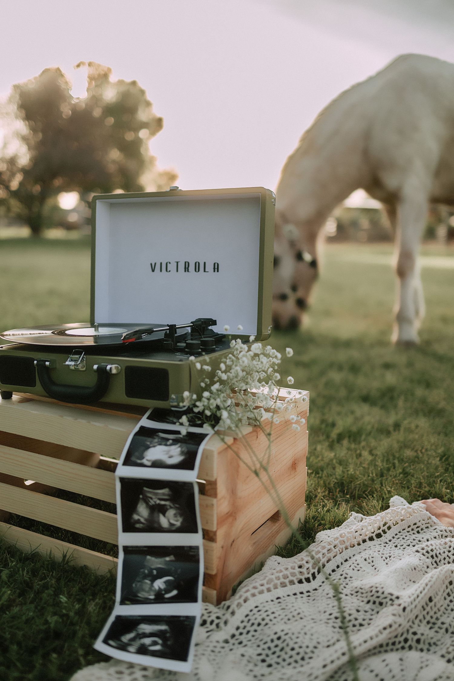 Victrola record player on crate with ultrasound photos and white horse grazing.