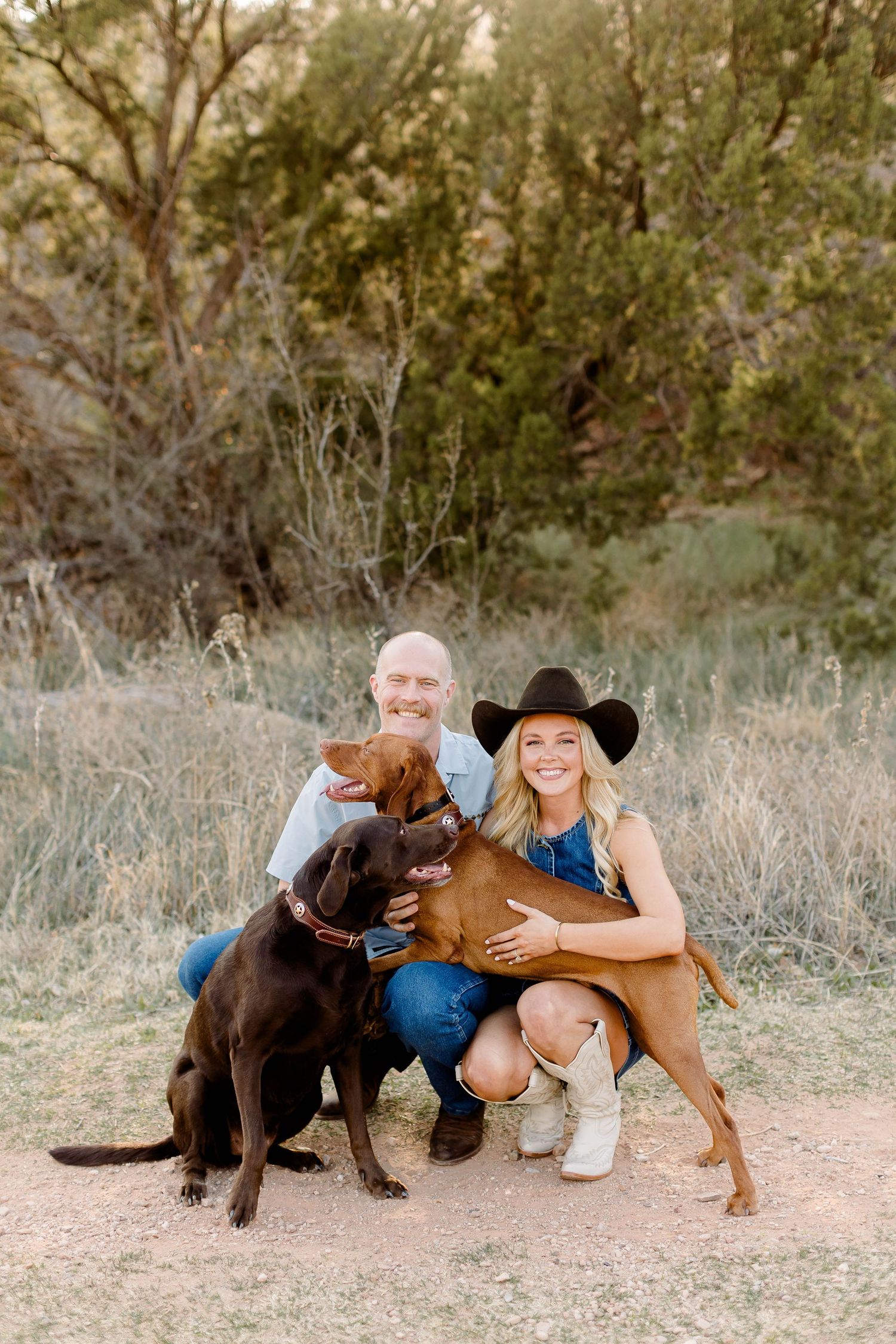 Two dogs playing outdoors with their owners in a natural setting.