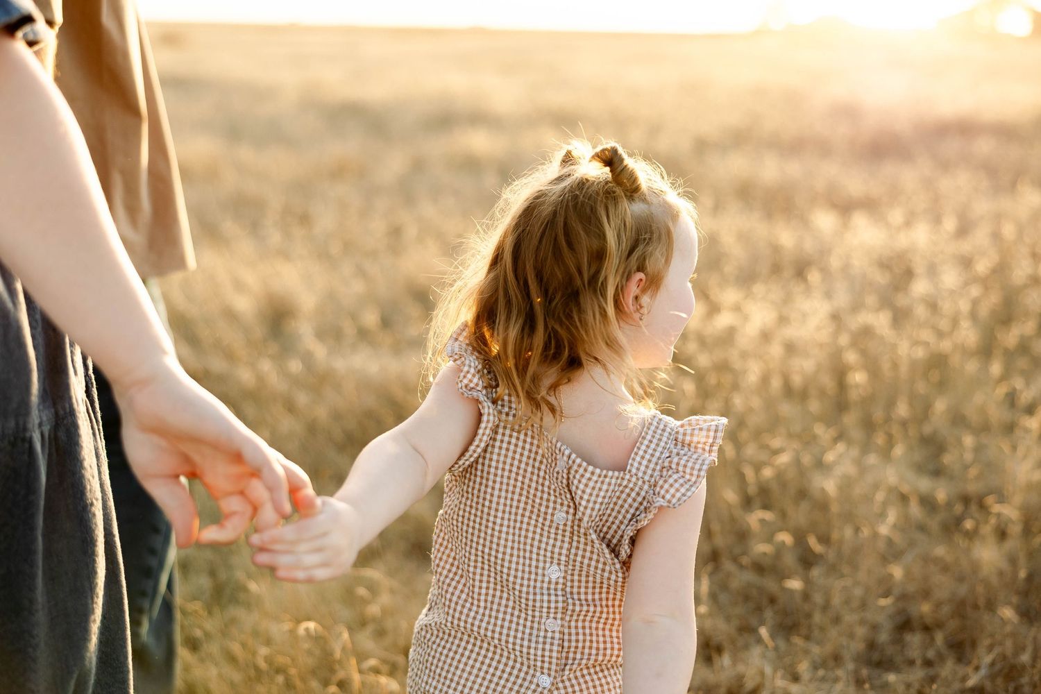 A couple holds hands while walking through a golden sunlit field at sunset.