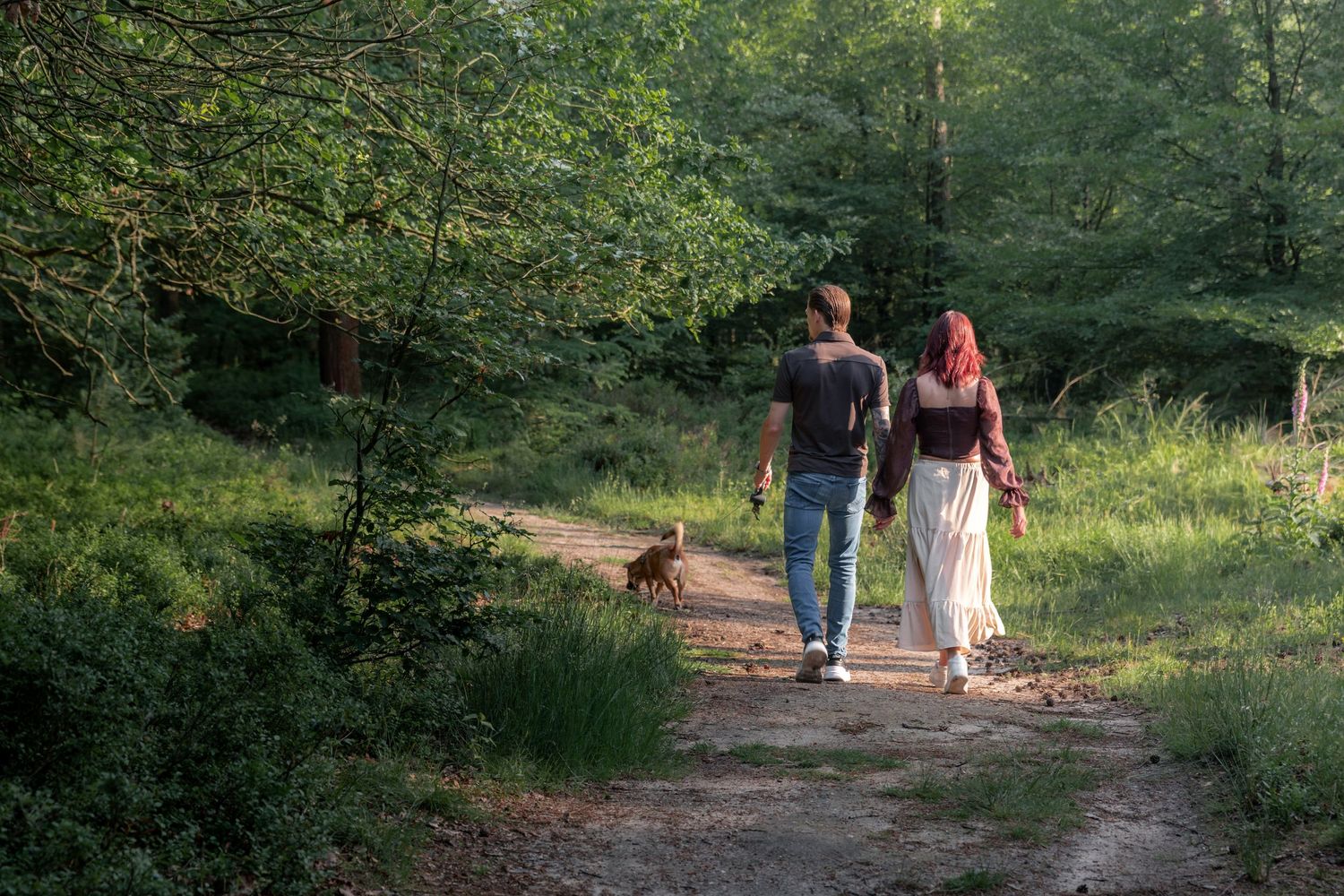 Een hondenshoot en gezellige wandeling door de bossen van Vaassen en Apeldoorn