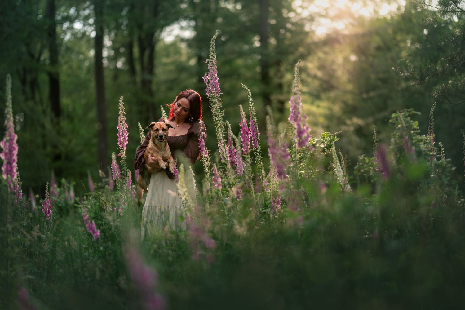 Magische honden fotoshoots op de Veluwe door Rosalie Michelle