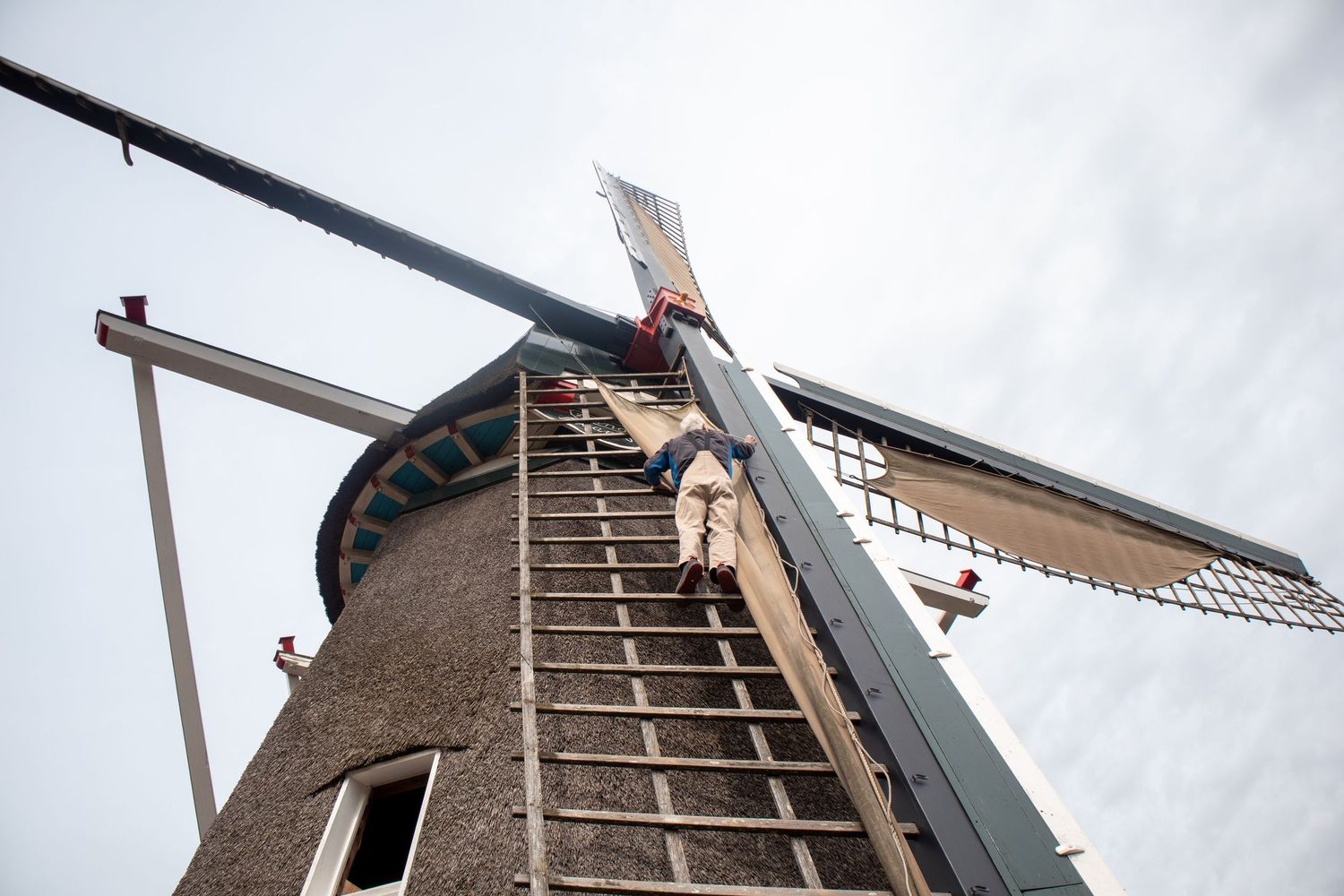 Uitzicht op de wieken van een korenmolen in Gelderland, door Rosalie Michelle