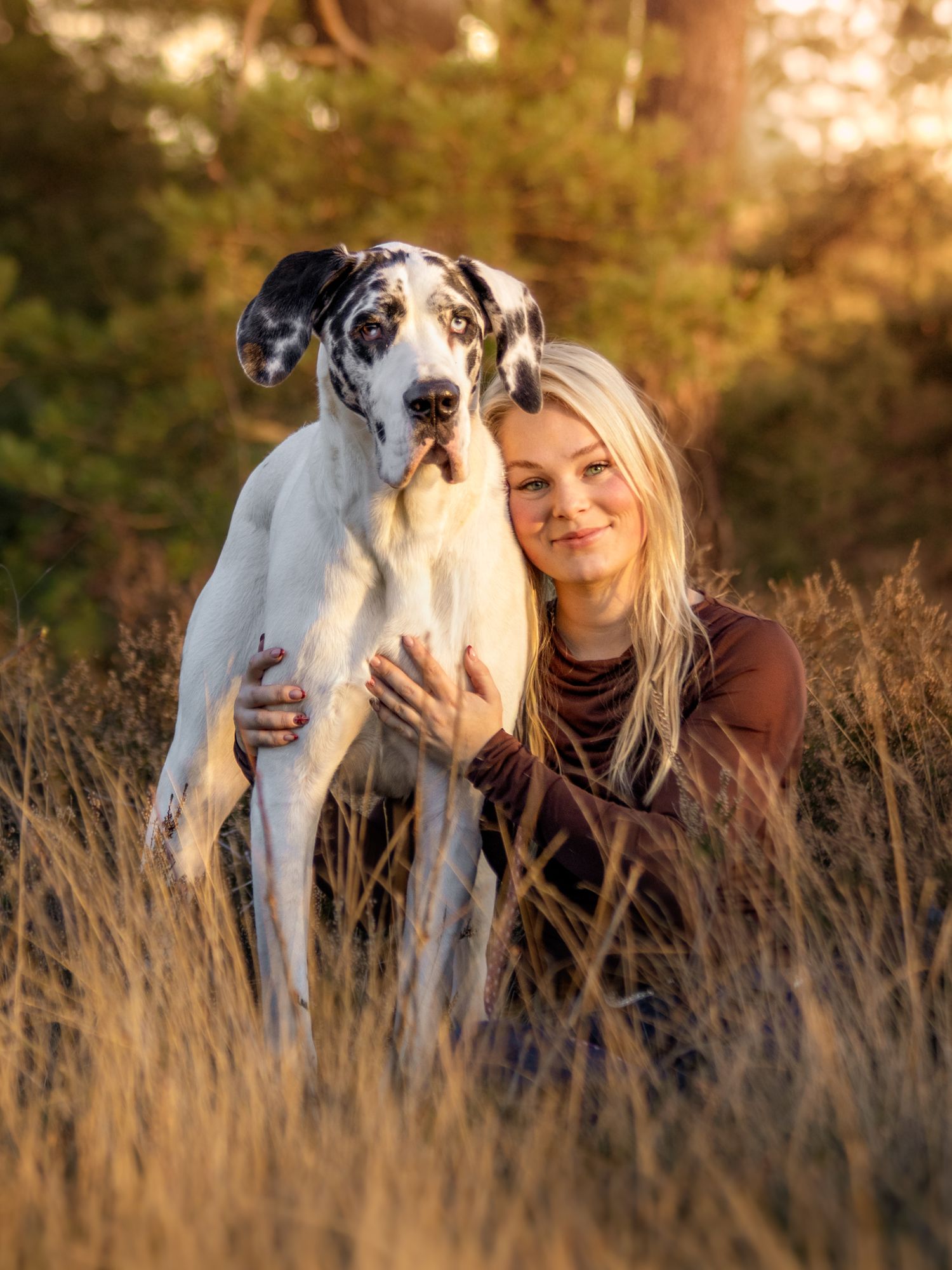 Hondenfotografie door Rosalie Michelle uit Vaassen