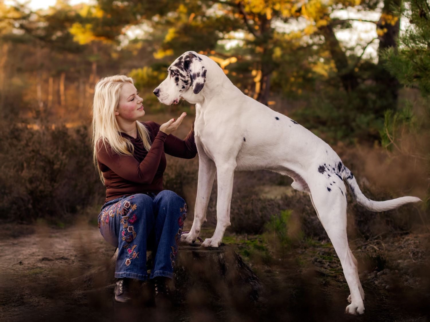 De connectie tussen jou en je hond, vastgelegd door hondenfotograaf Rosalie Michelle