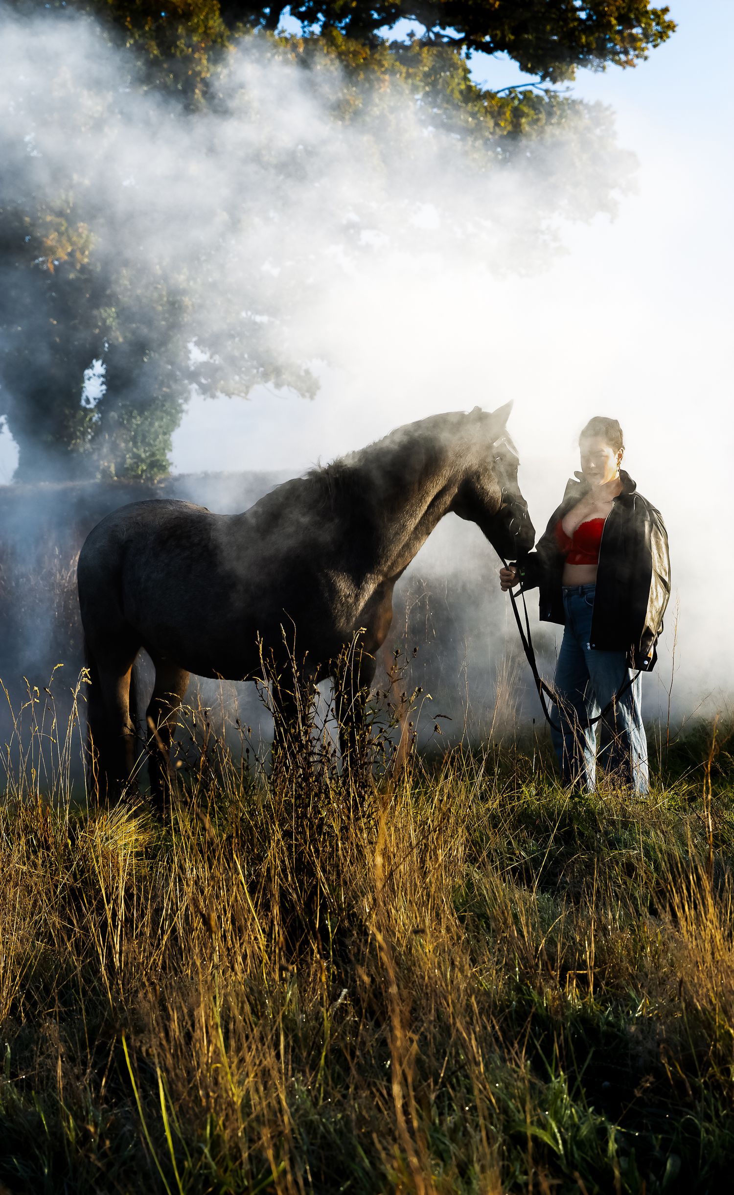Ethereal scene with horse and figures in misty field during golden hour.