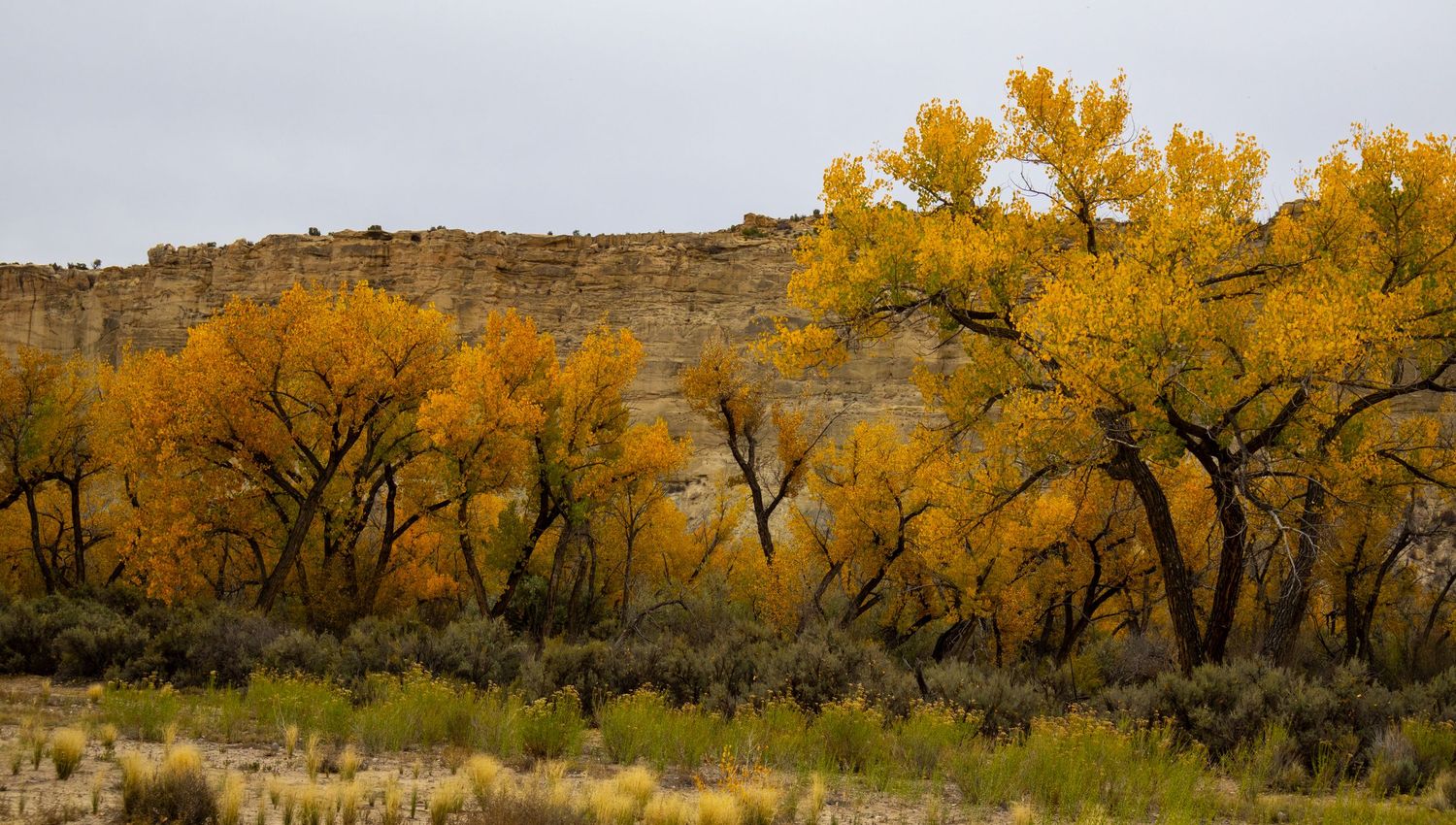 B square ranch fall landscape and nature photo