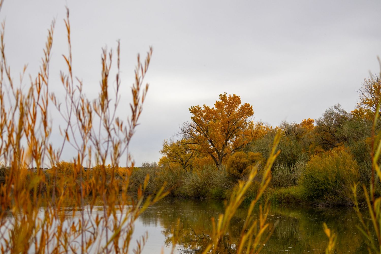 B square ranch fall landscape and nature photo