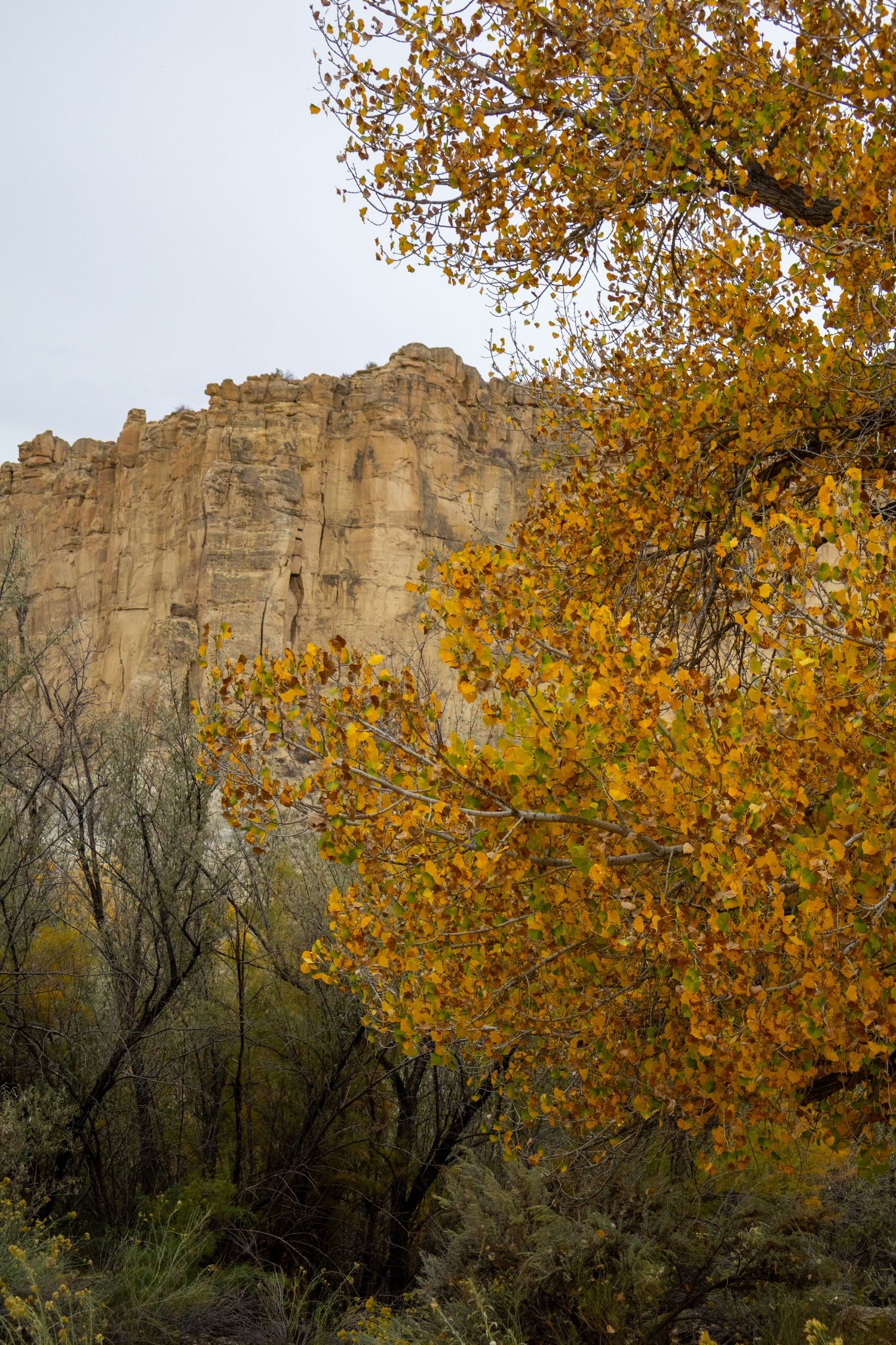 B square ranch fall landscape and nature photo