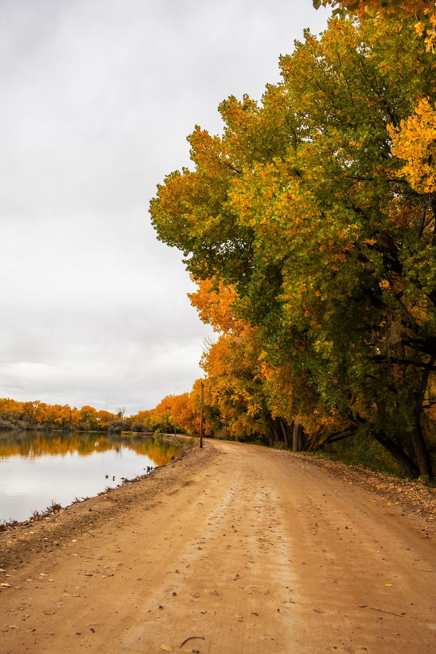 B square ranch fall landscape and nature photo