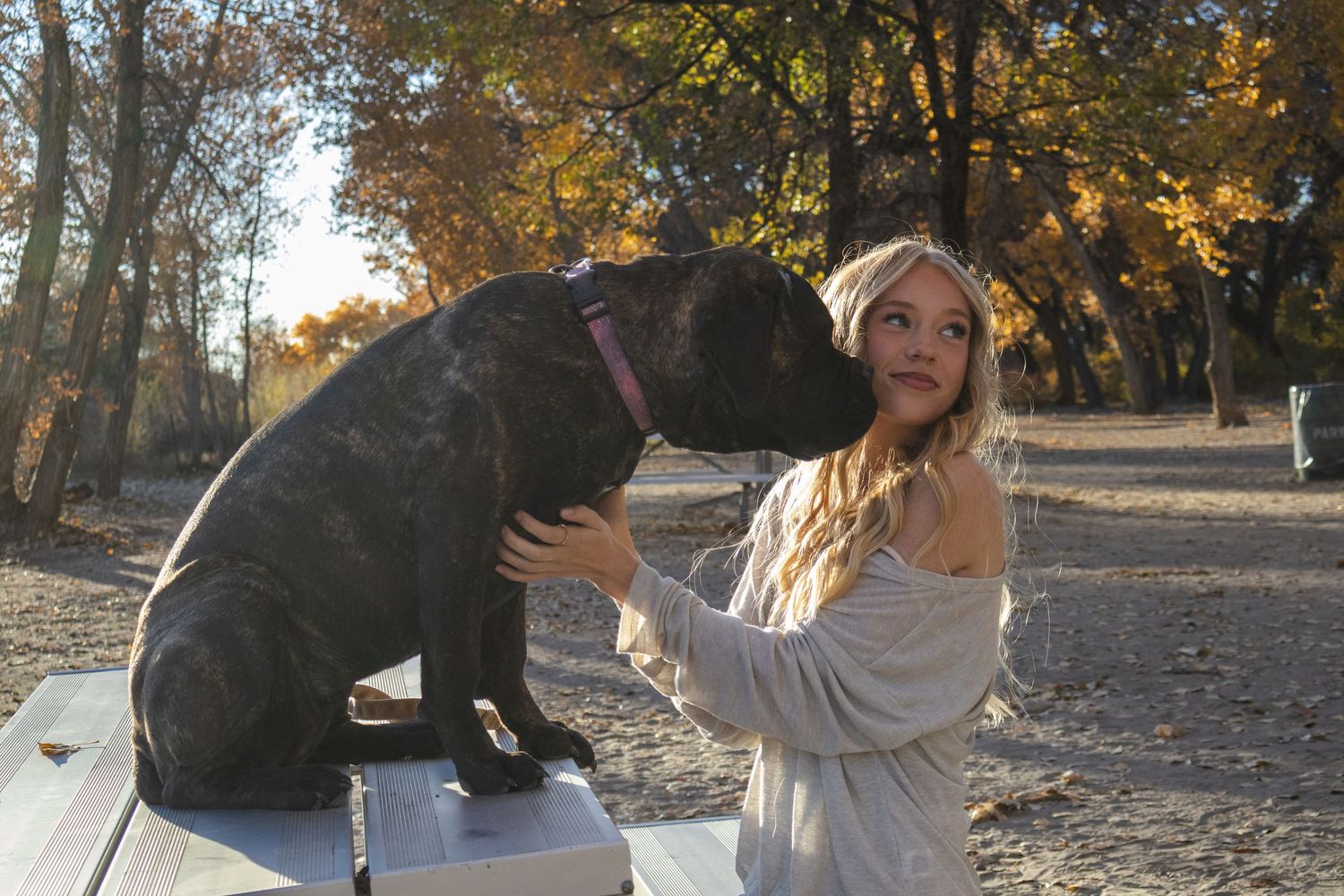 Senior Portraits