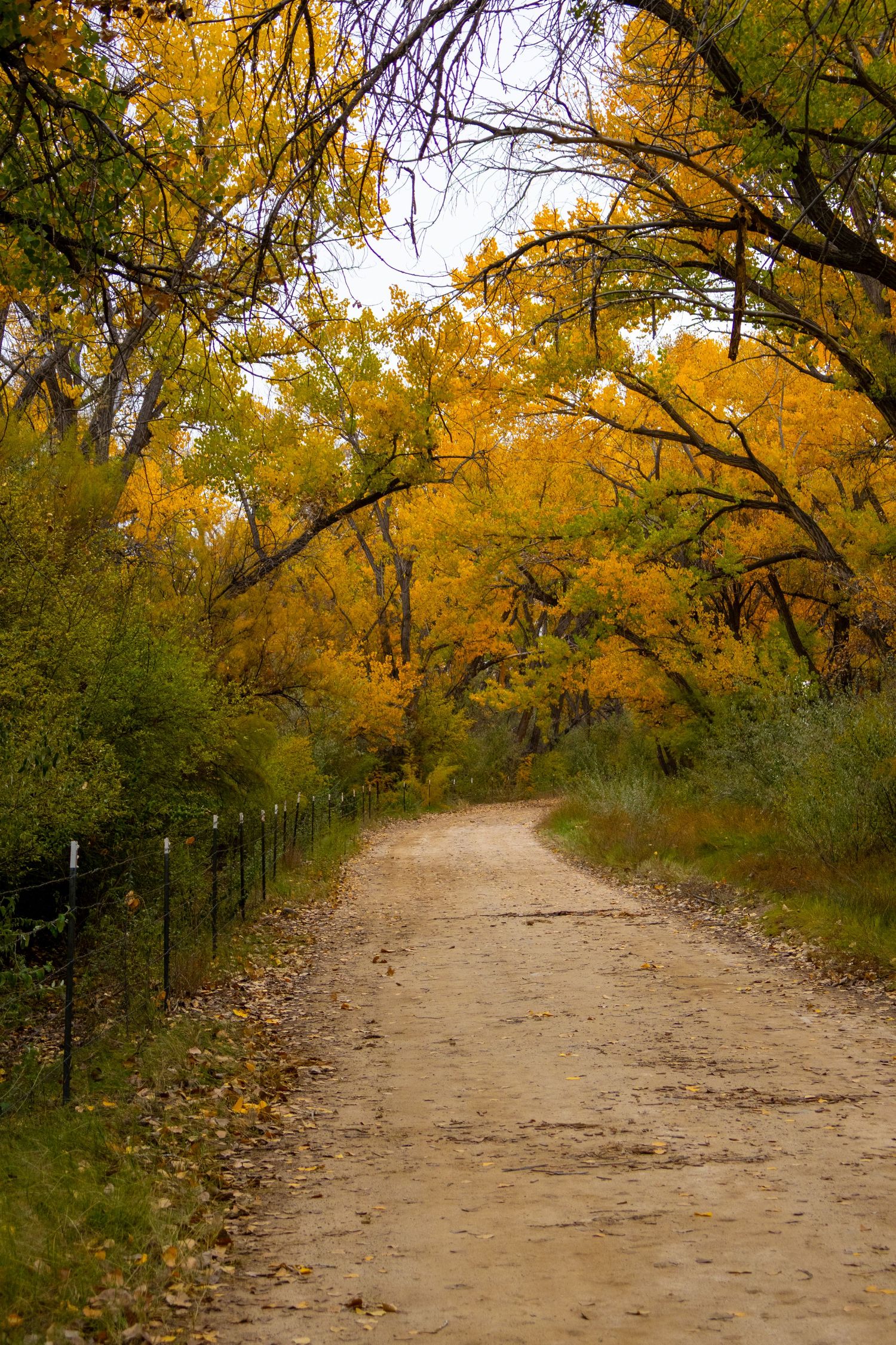 B square ranch fall landscape and nature photo