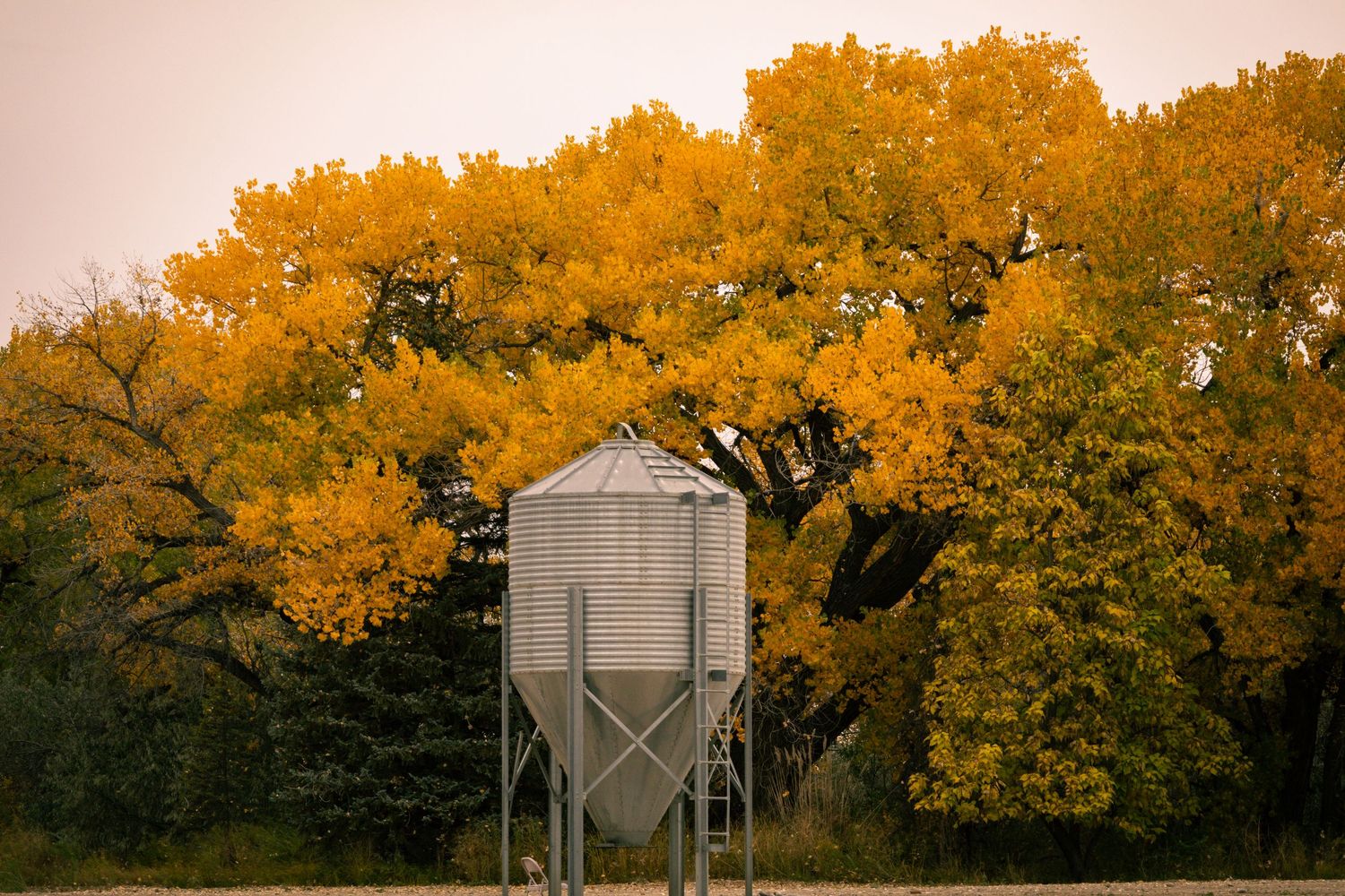 B square ranch fall landscape and nature photo