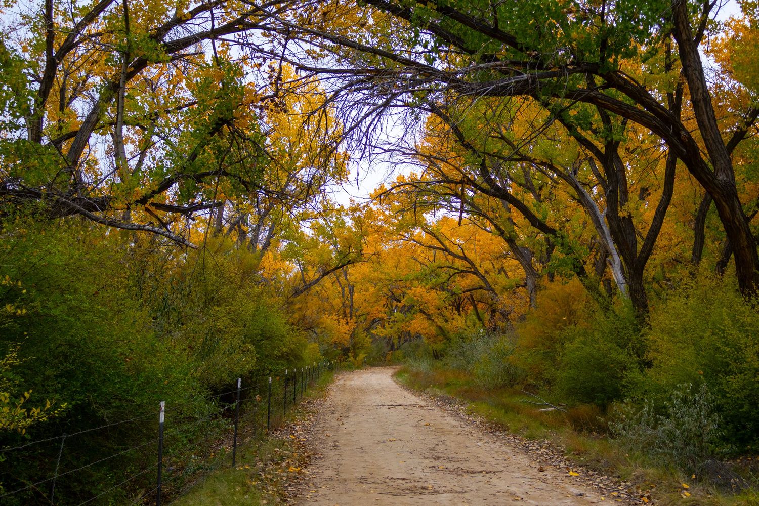 B square ranch fall landscape and nature photo
