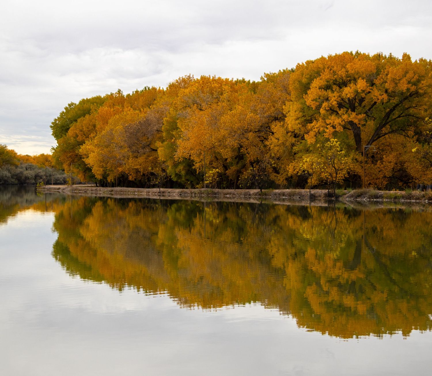 B square ranch fall landscape and nature photo