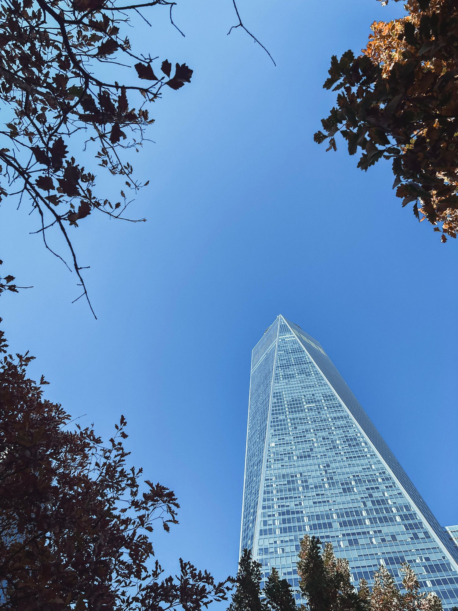 Looking up at One World Trade Center in New York City during fall with a clear sky and autumn light