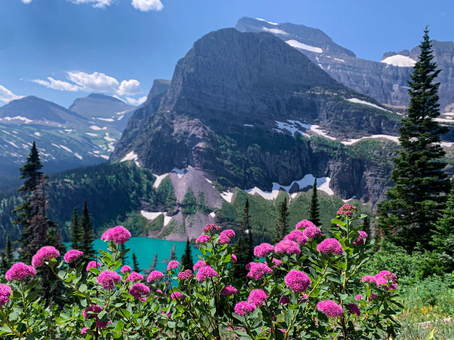 Glacier Natioanl Park Alpine lake surrounded by rugged mountain peaks and evergreen trees with bright pink wildflowers in the foreground