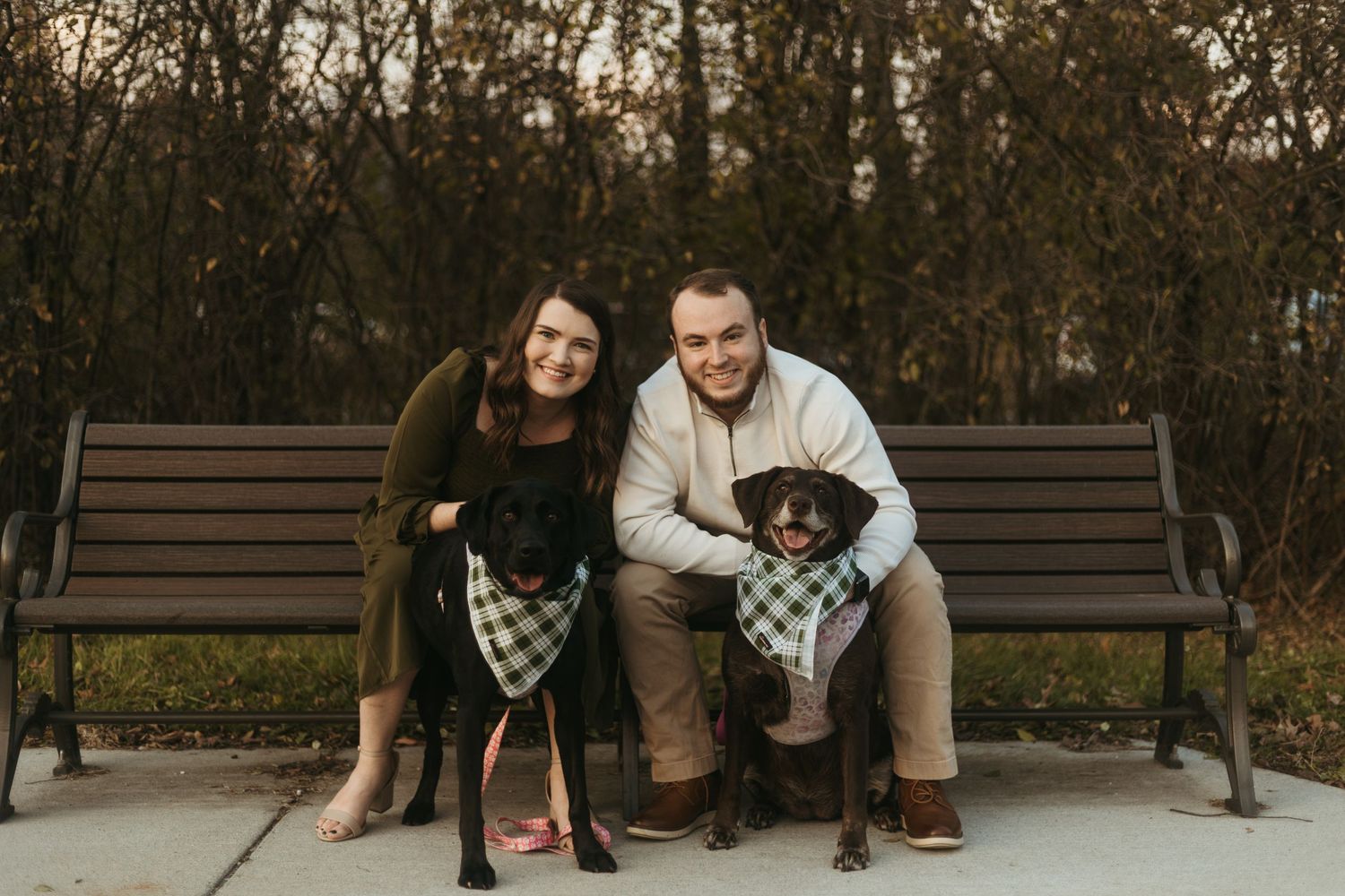 Ann Arbor Michigan couples photography session at a park during golden hour with a couple sitting on a bench with their dogs