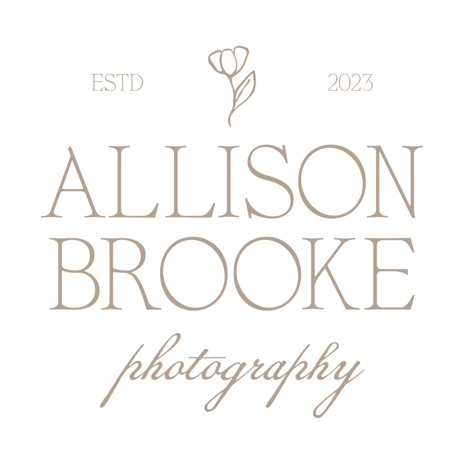 Allison Brooke Photography Logo