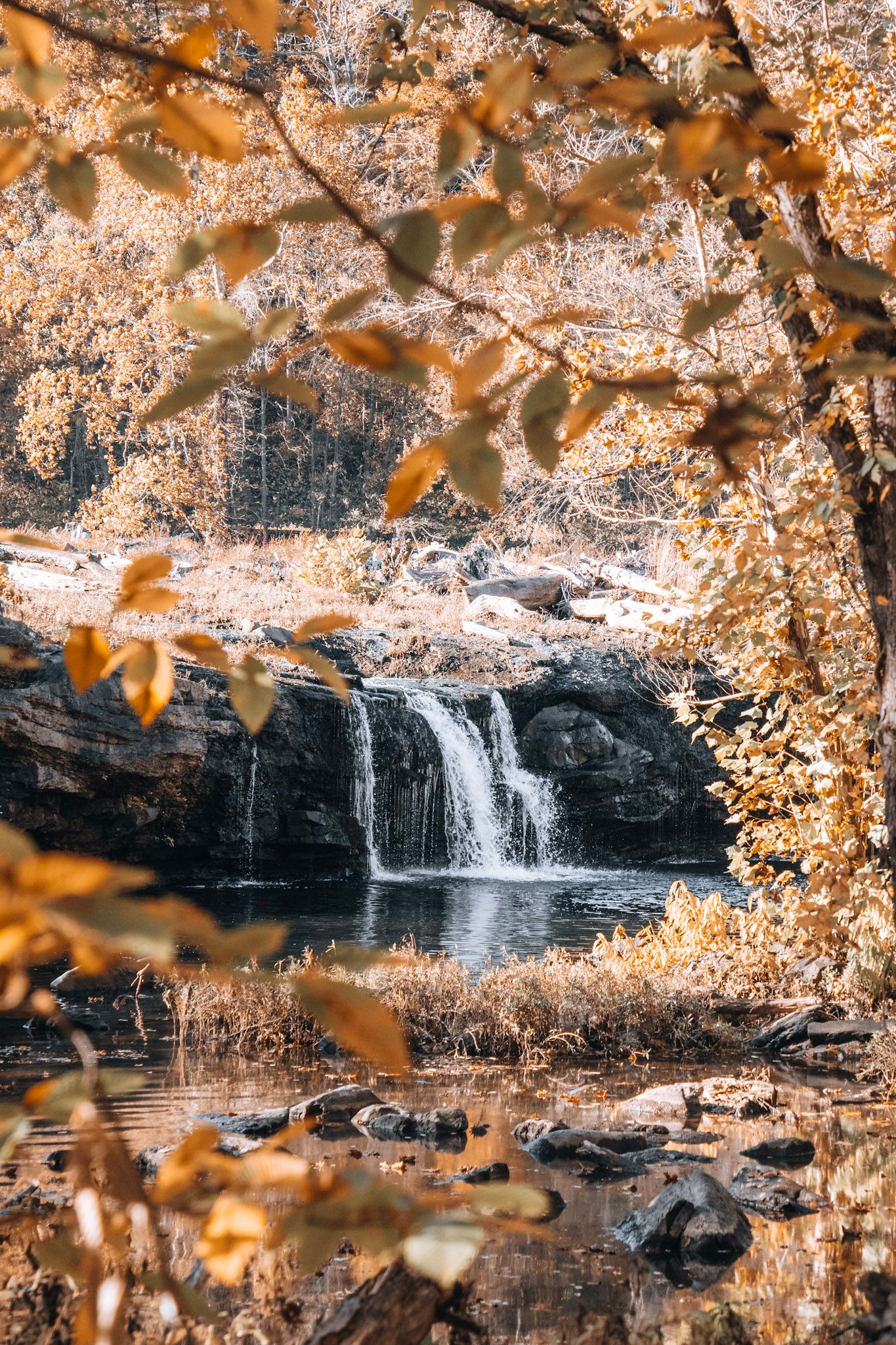 Waterfall flowing into a calm pool surrounded by golden fall foliage and autumn leaves Blue Ridge Parkway