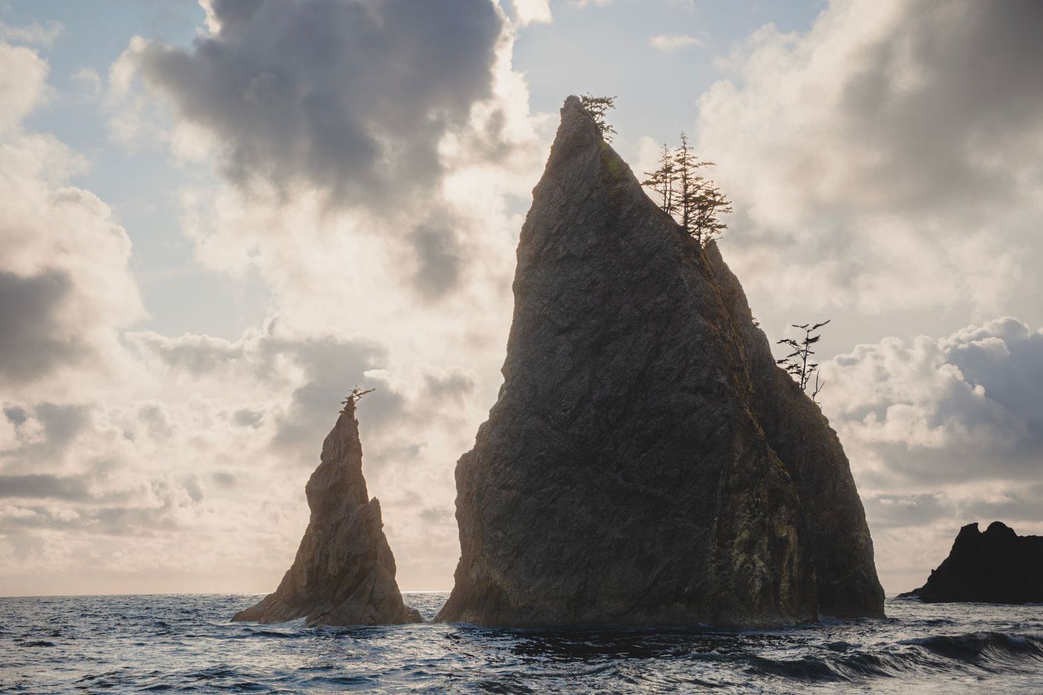 Dramatic sea stacks rising from the ocean at Rialto Beach in Olympic National Park under a cloudy sky